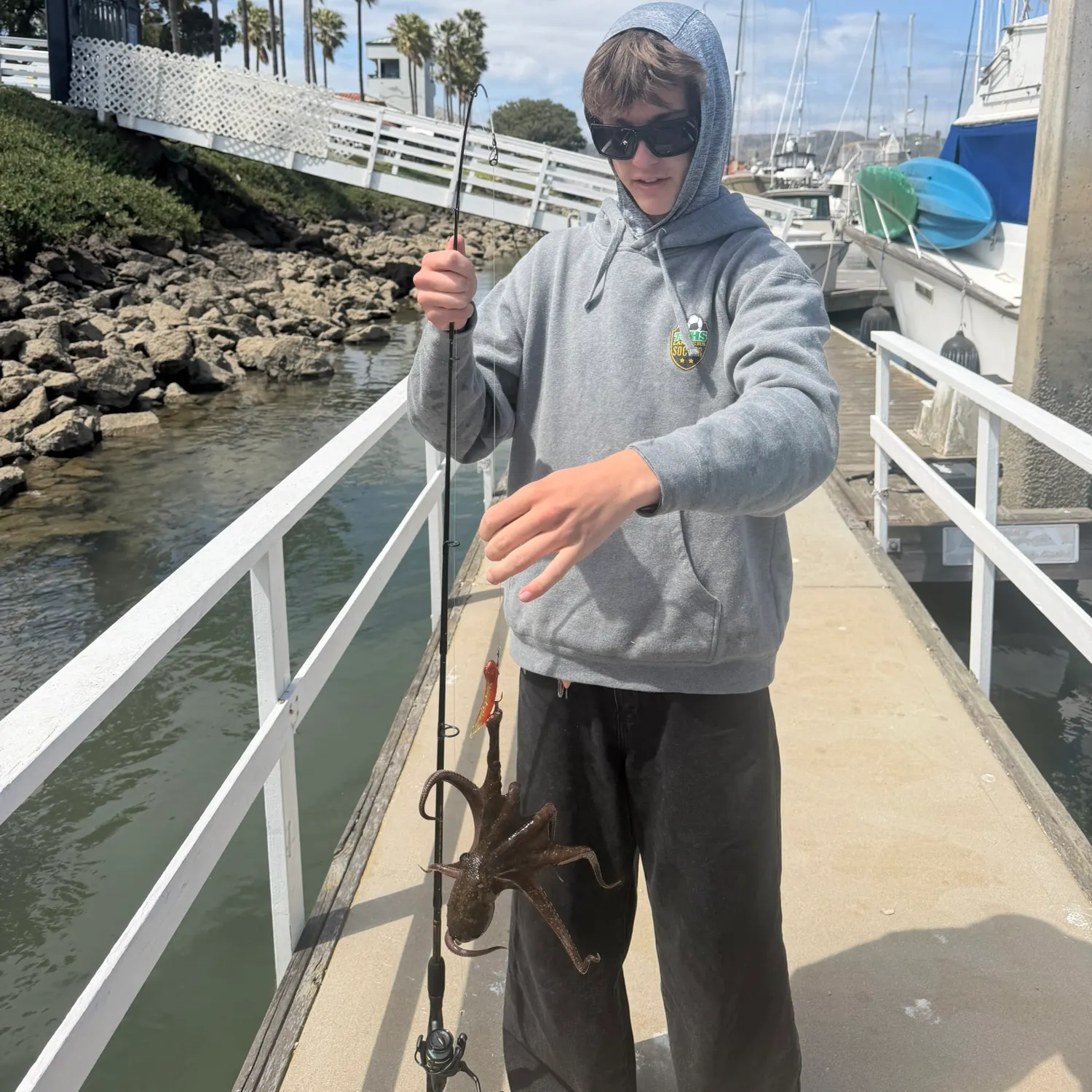 The most recent California two-spot octopus catches on Fishbrain