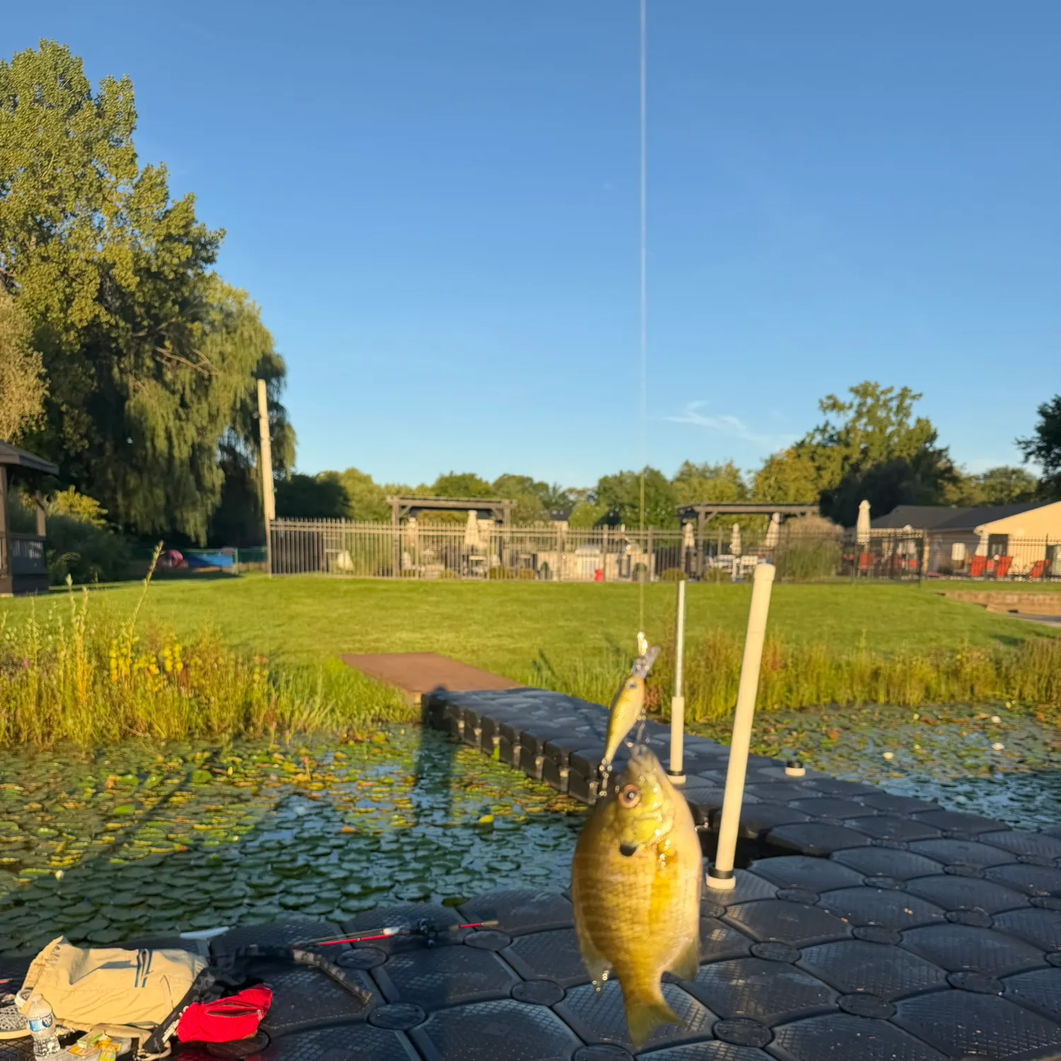 catch