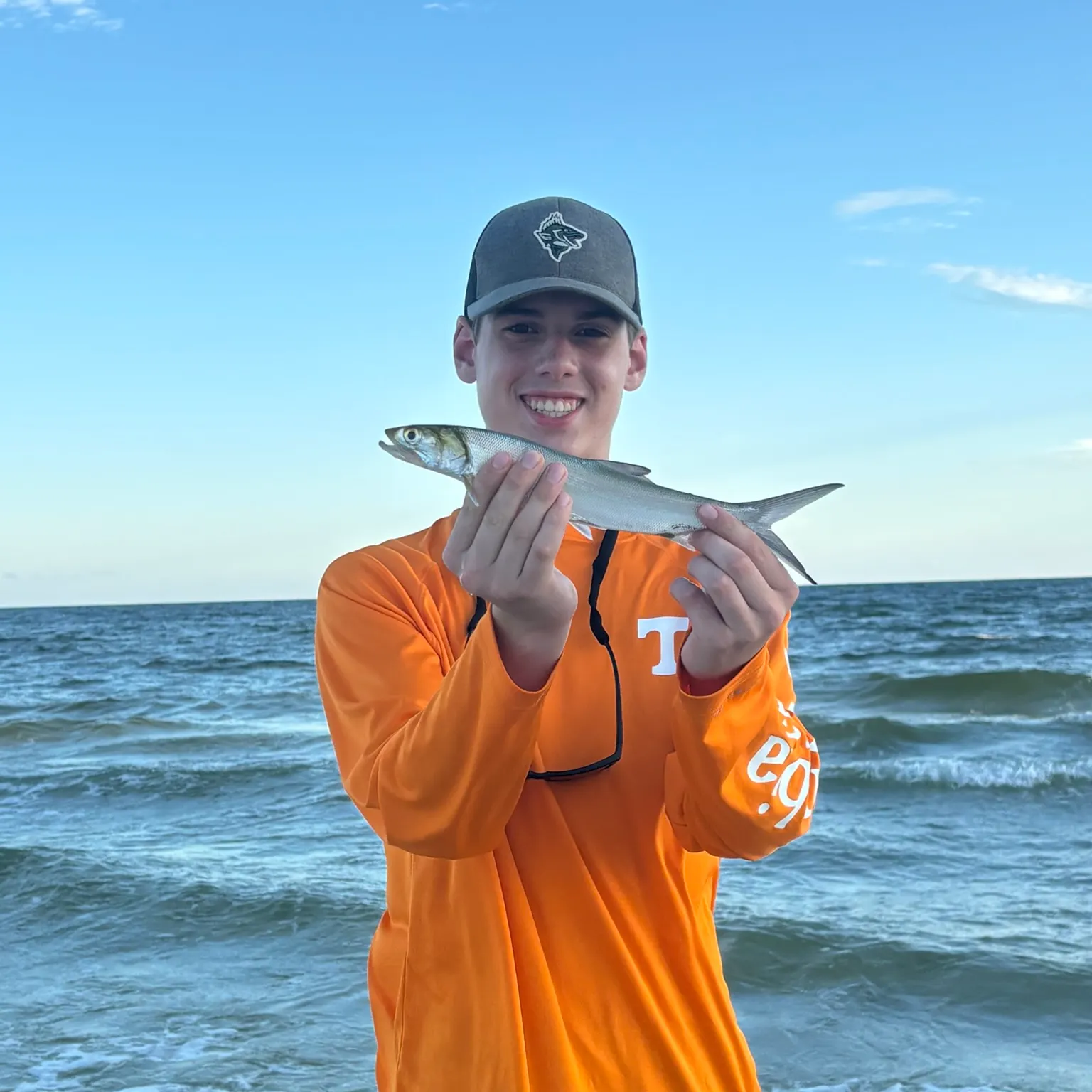 The most recent Ladyfish catches on Fishbrain