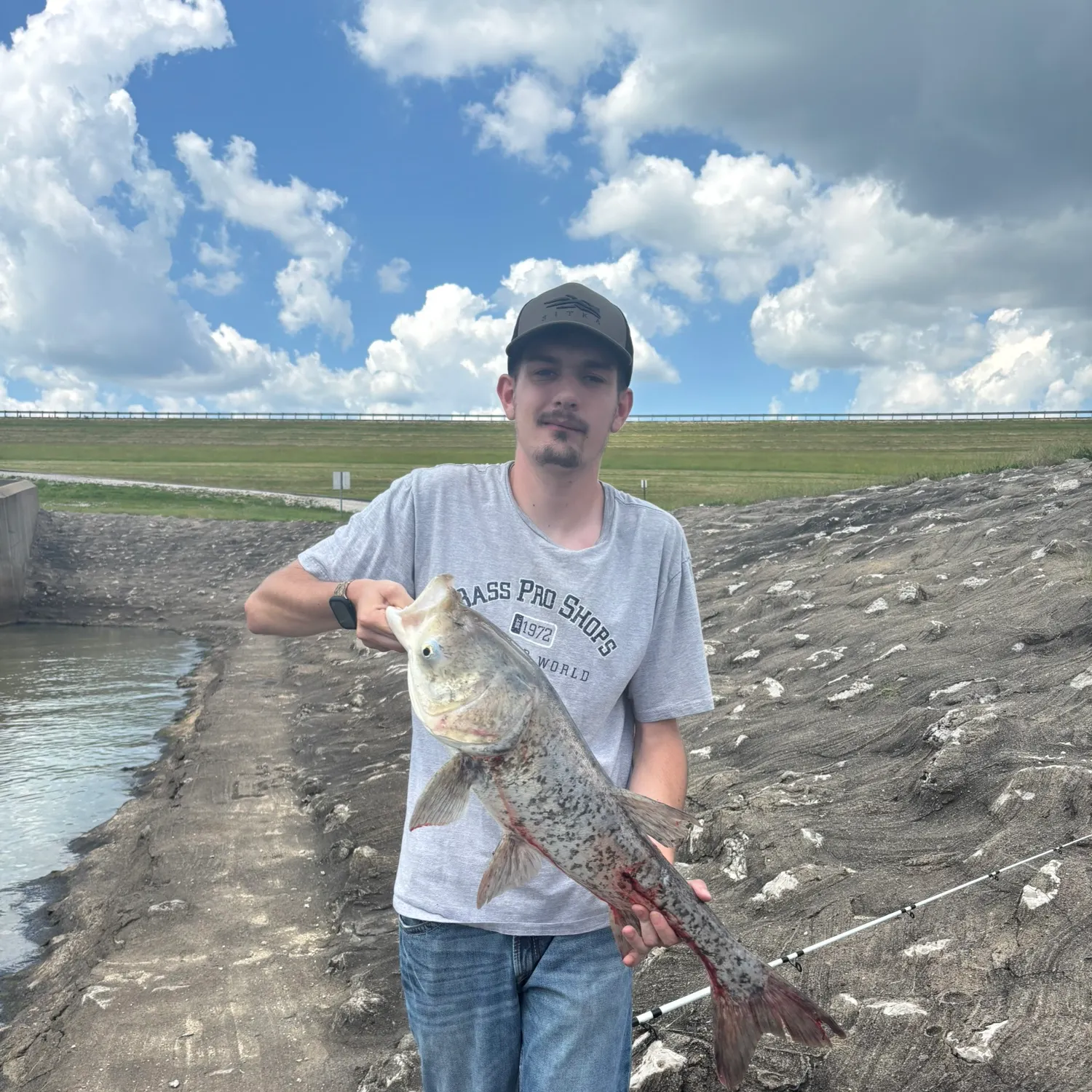 The most recent Bighead carp catches on Fishbrain
