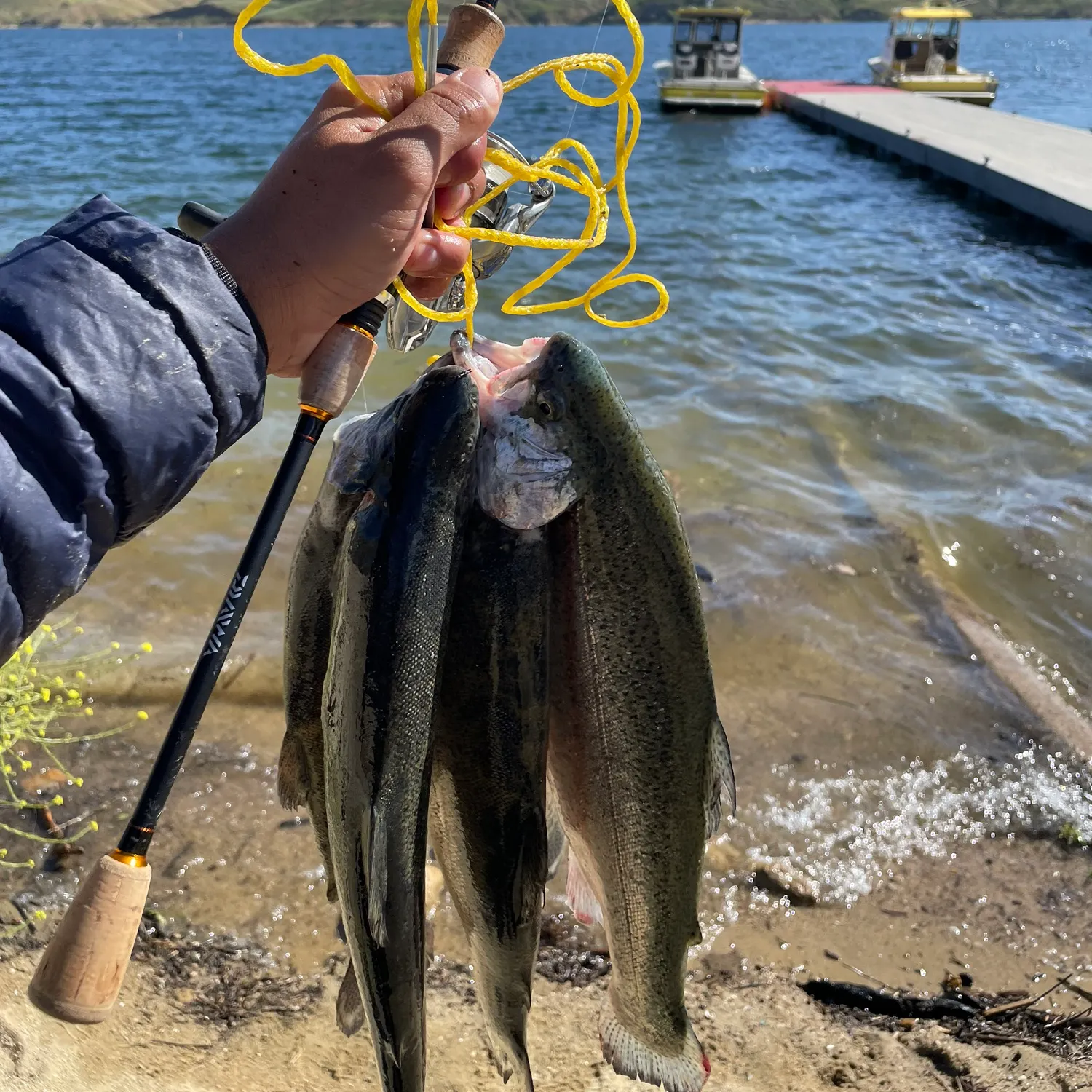 angler catch