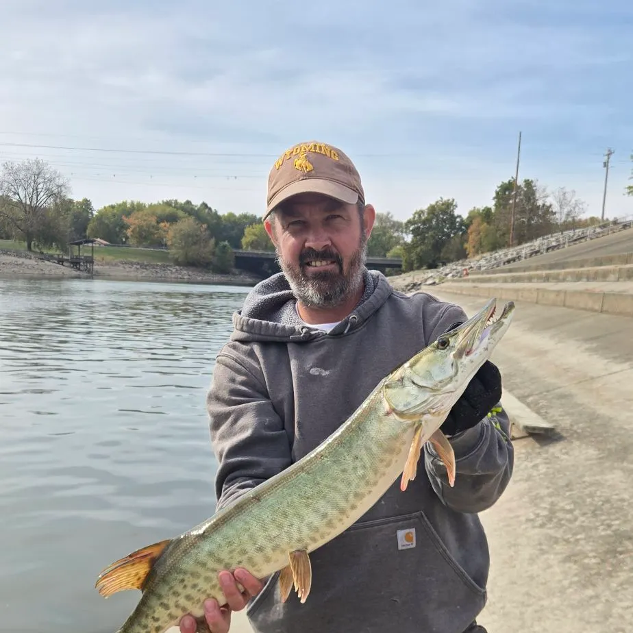 Muskie caught on Fishbrain