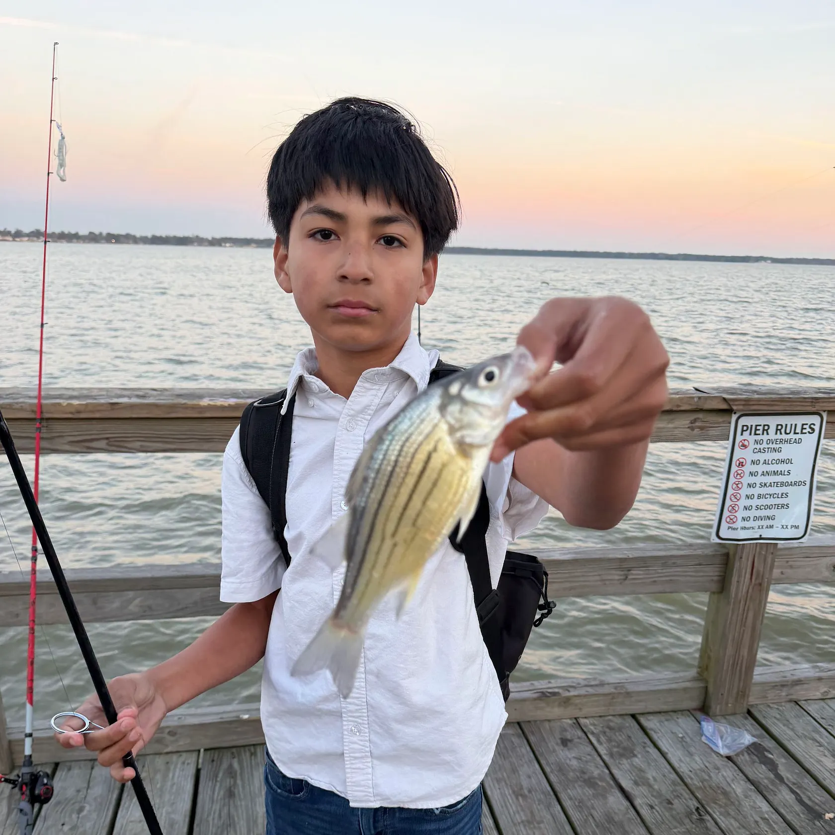 The most recent Yellow bass catches on Fishbrain
