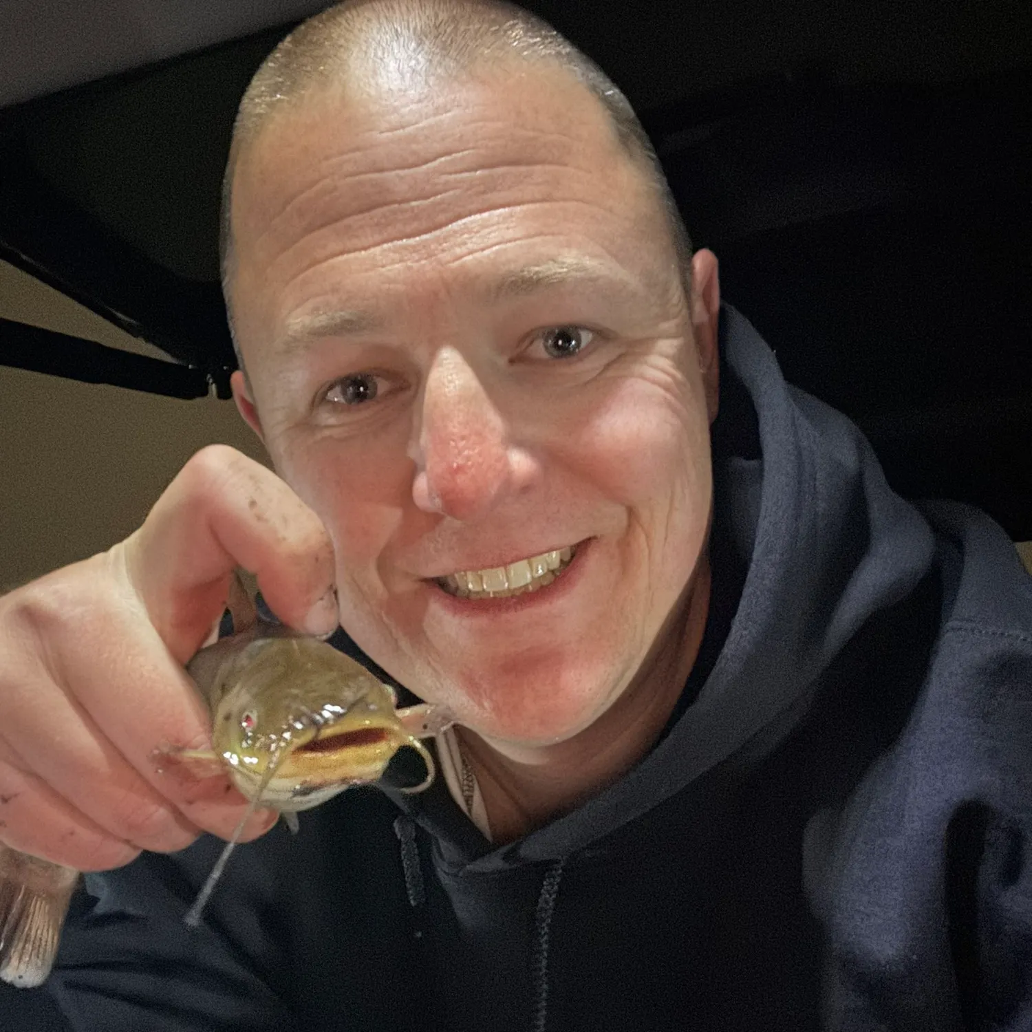 Yellow bullhead caught on Fishbrain