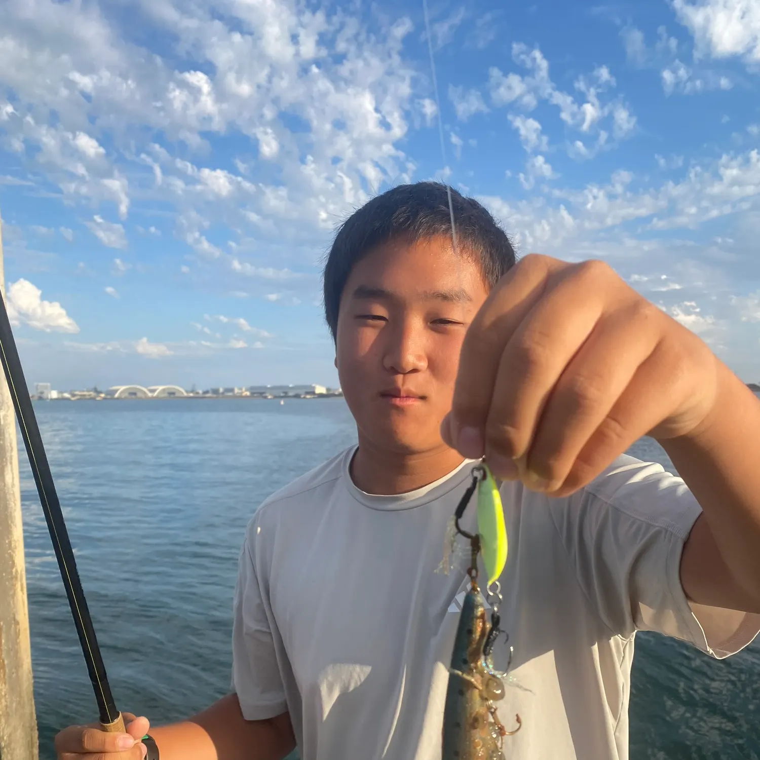 The most recent Round sardinella catches on Fishbrain