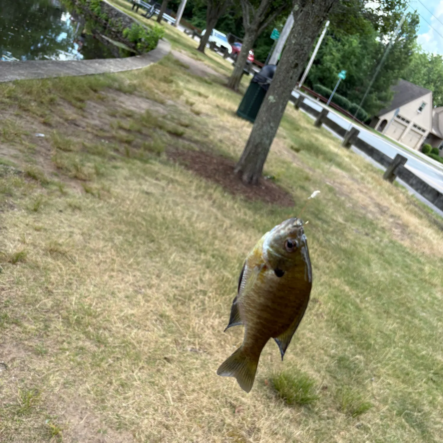 catch