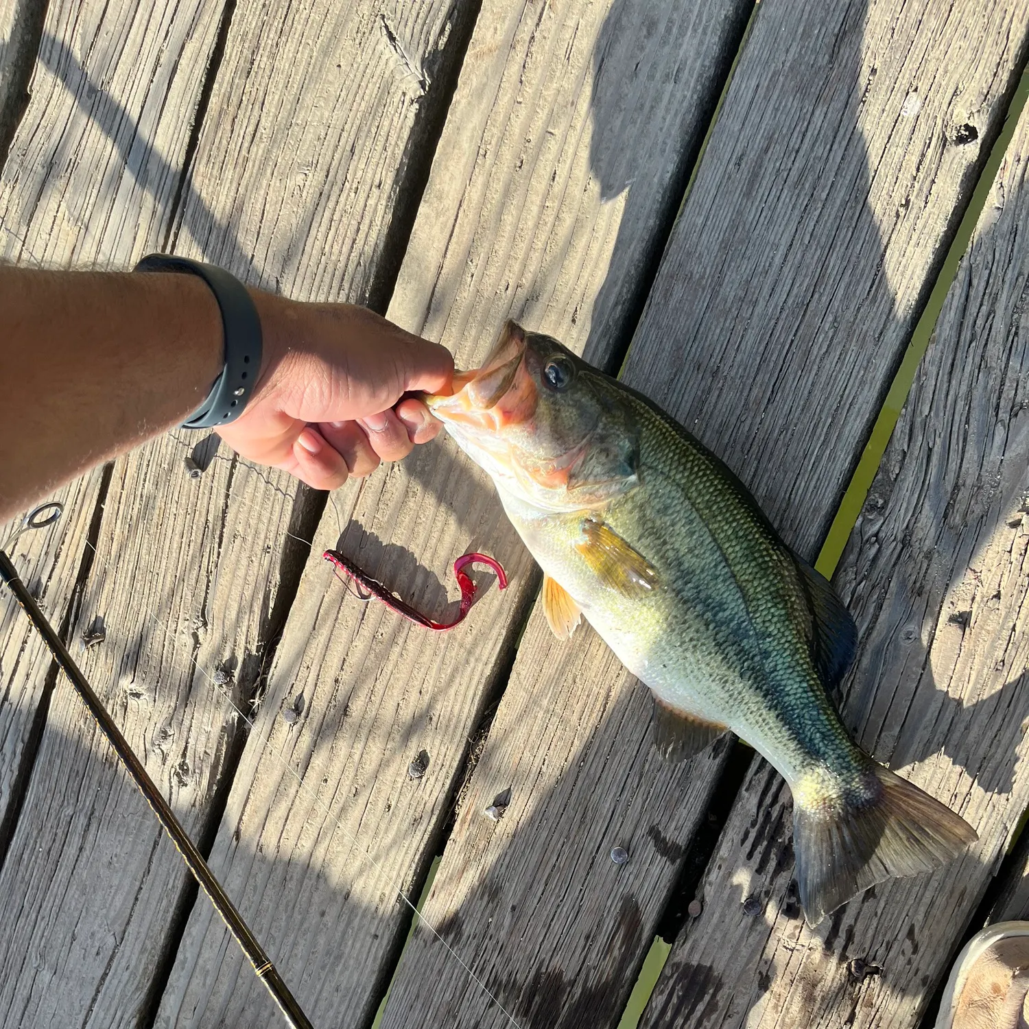 catch