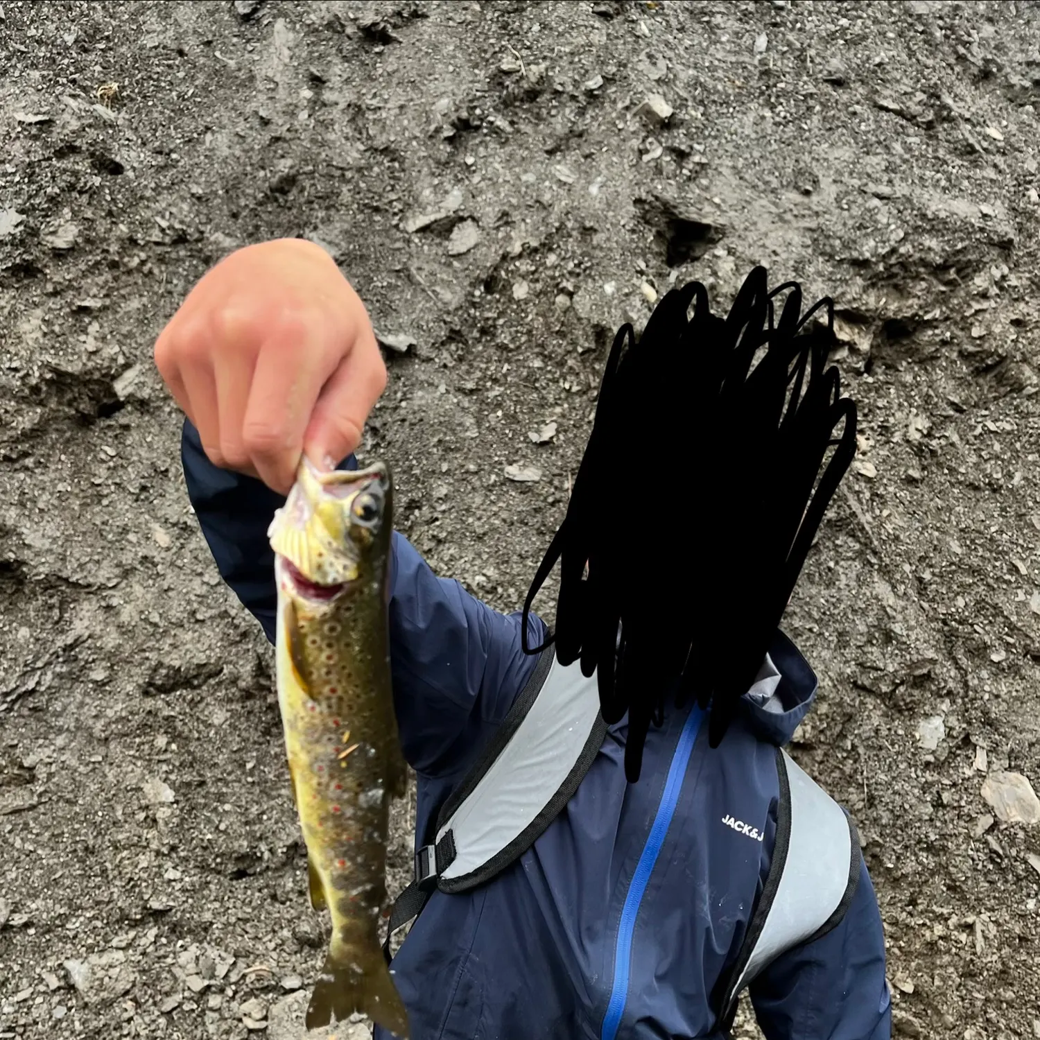 Lake trout caught on Fishbrain