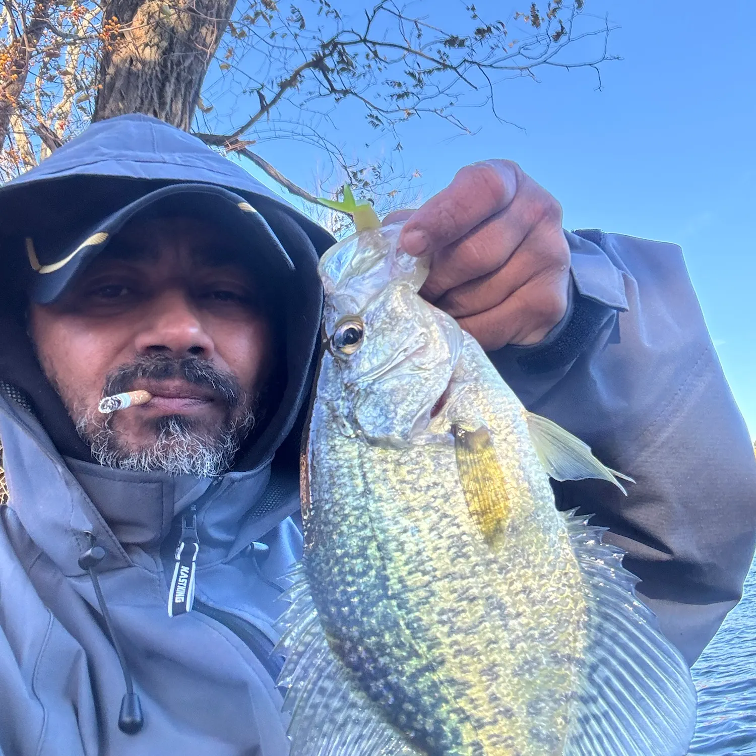 Black crappie caught on Fishbrain