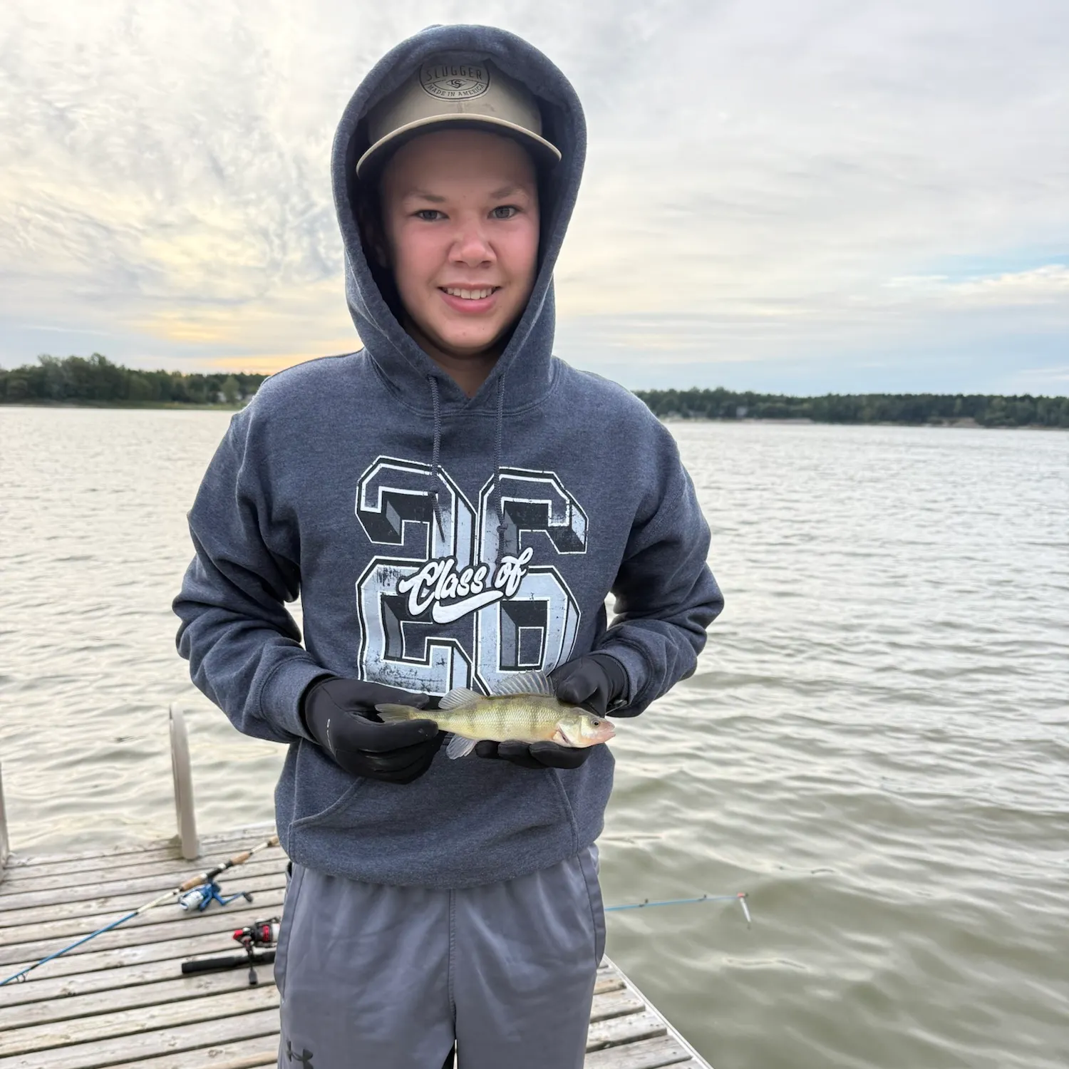 Yellow perch caught on Fishbrain