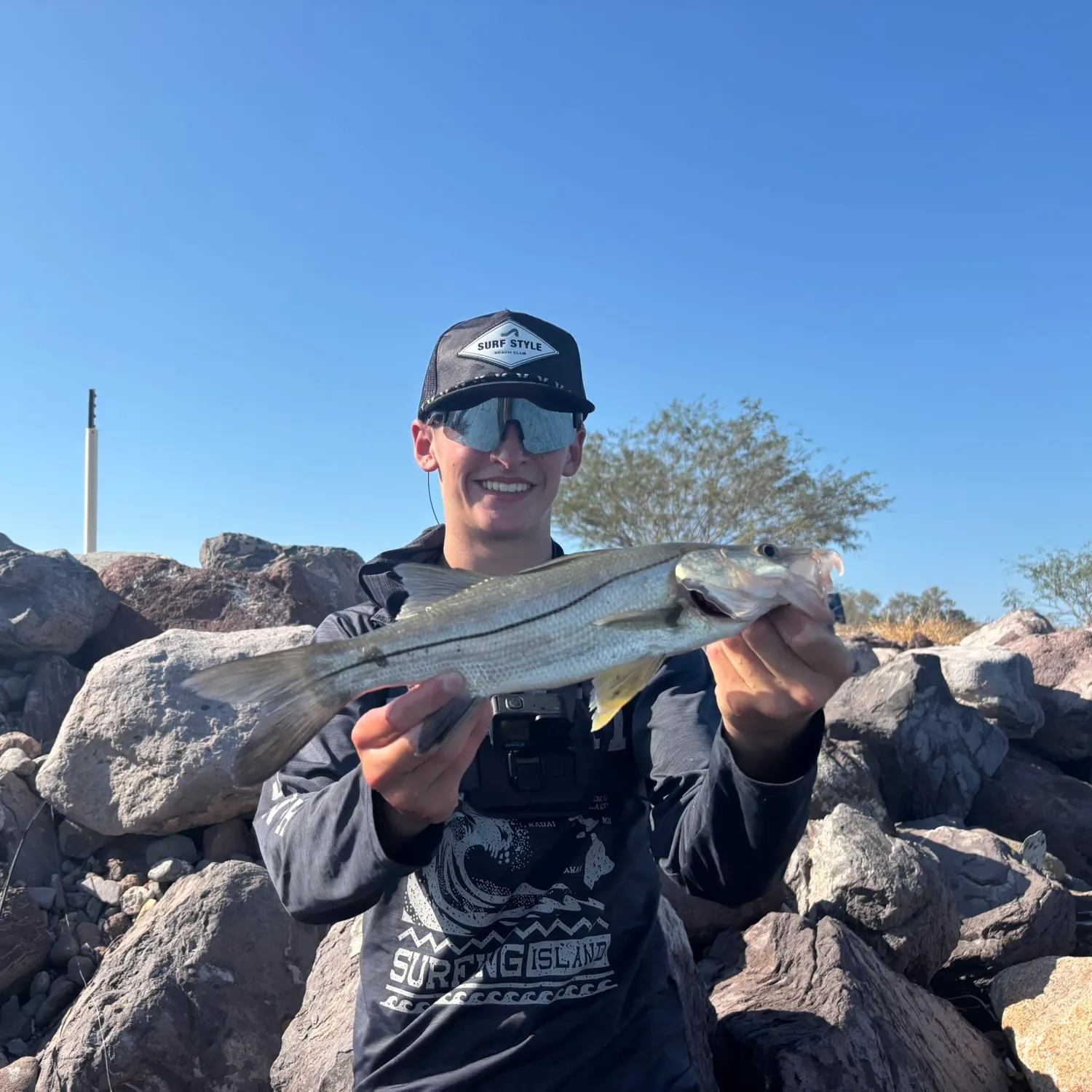 The most recent White snook catches on Fishbrain