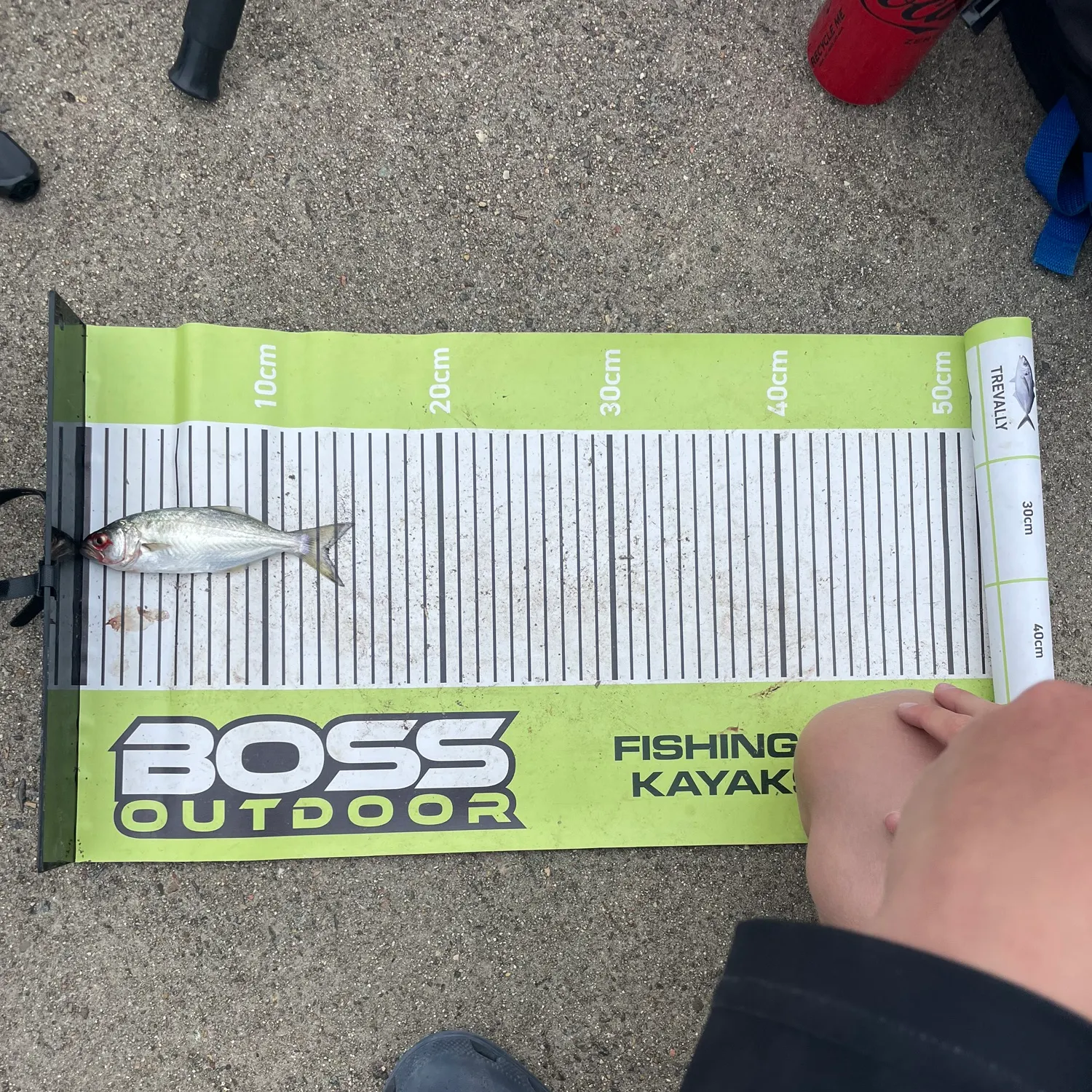 The most recent Black marlin catches on Fishbrain