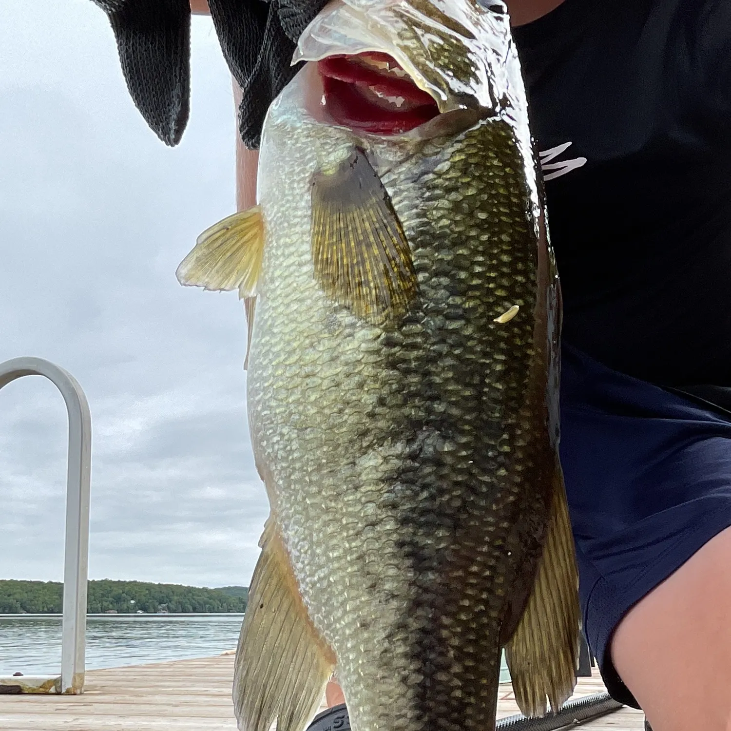 Smallmouth bass caught on Fishbrain