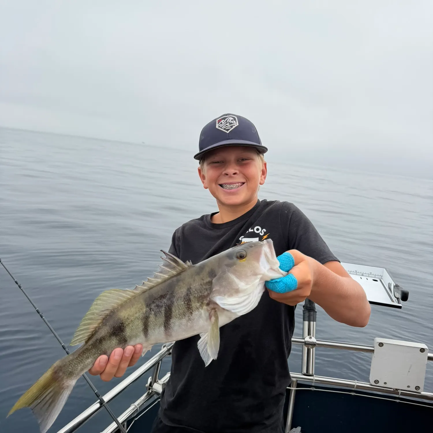 Barred sand bass caught on Fishbrain