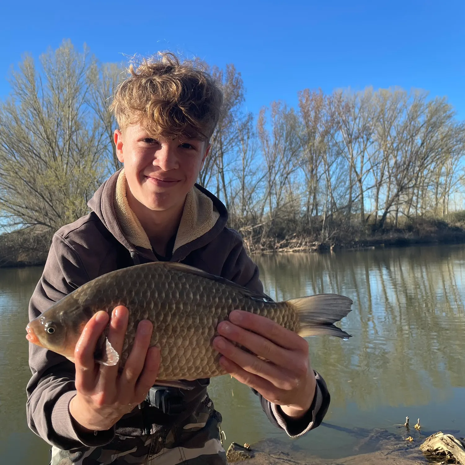 The most recent Crucian carp catches on Fishbrain