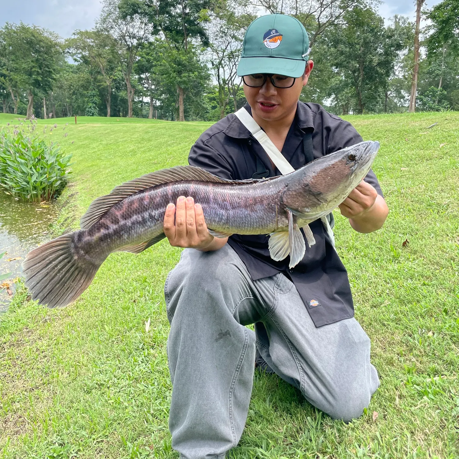Indonesian snakehead caught on Fishbrain