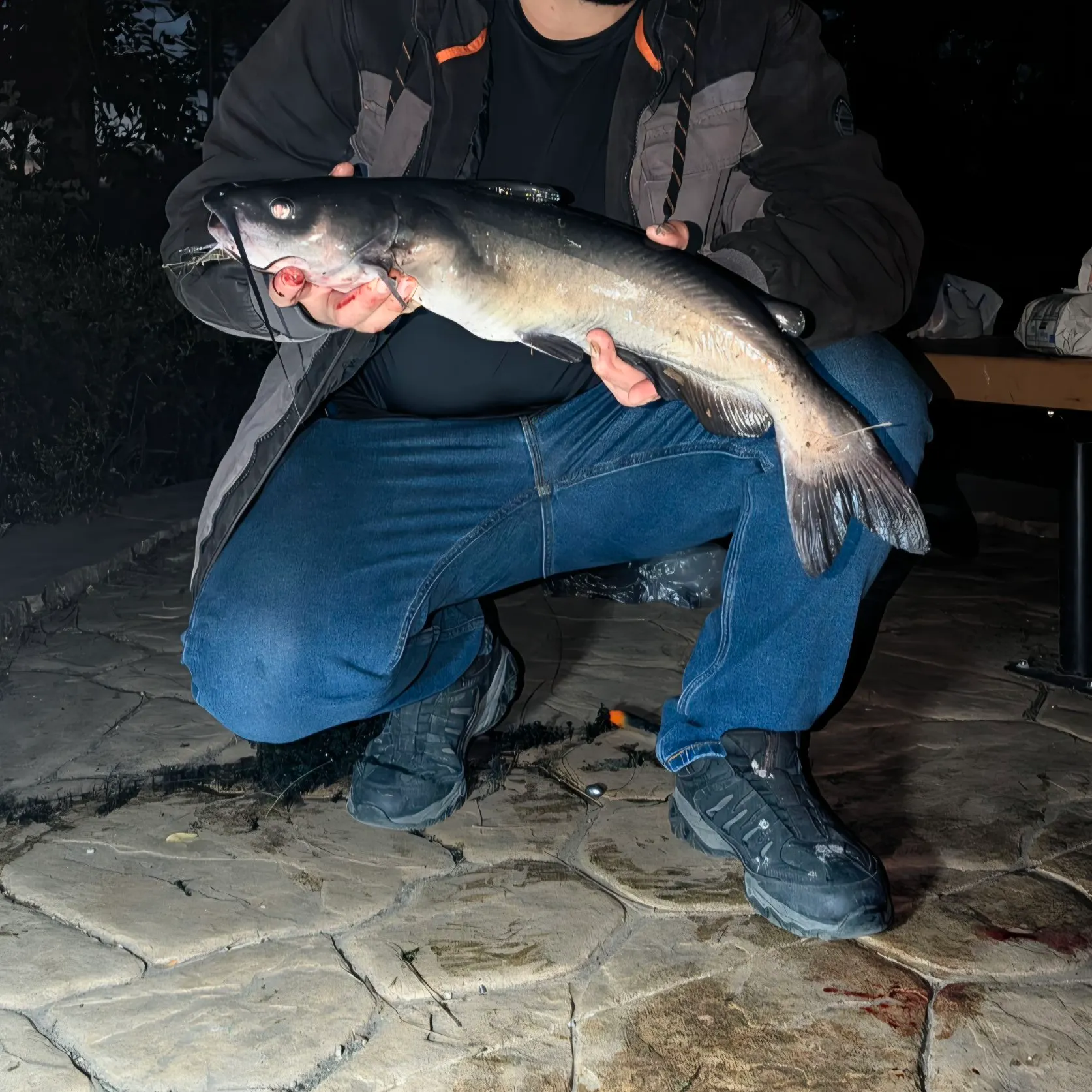 Fish caught on Fishbrain