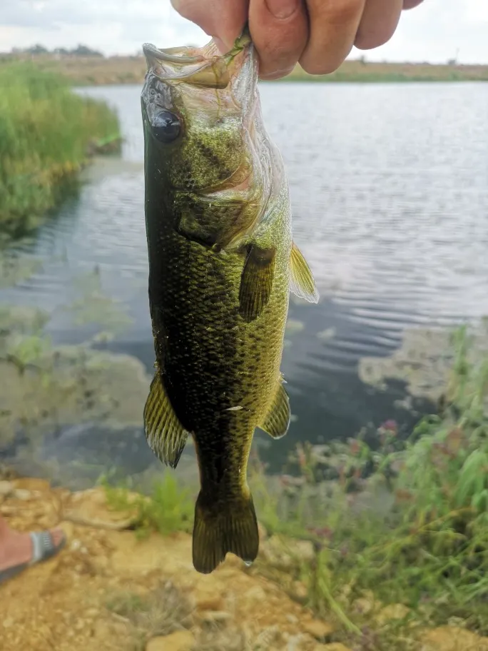 Post image from tpalm4359