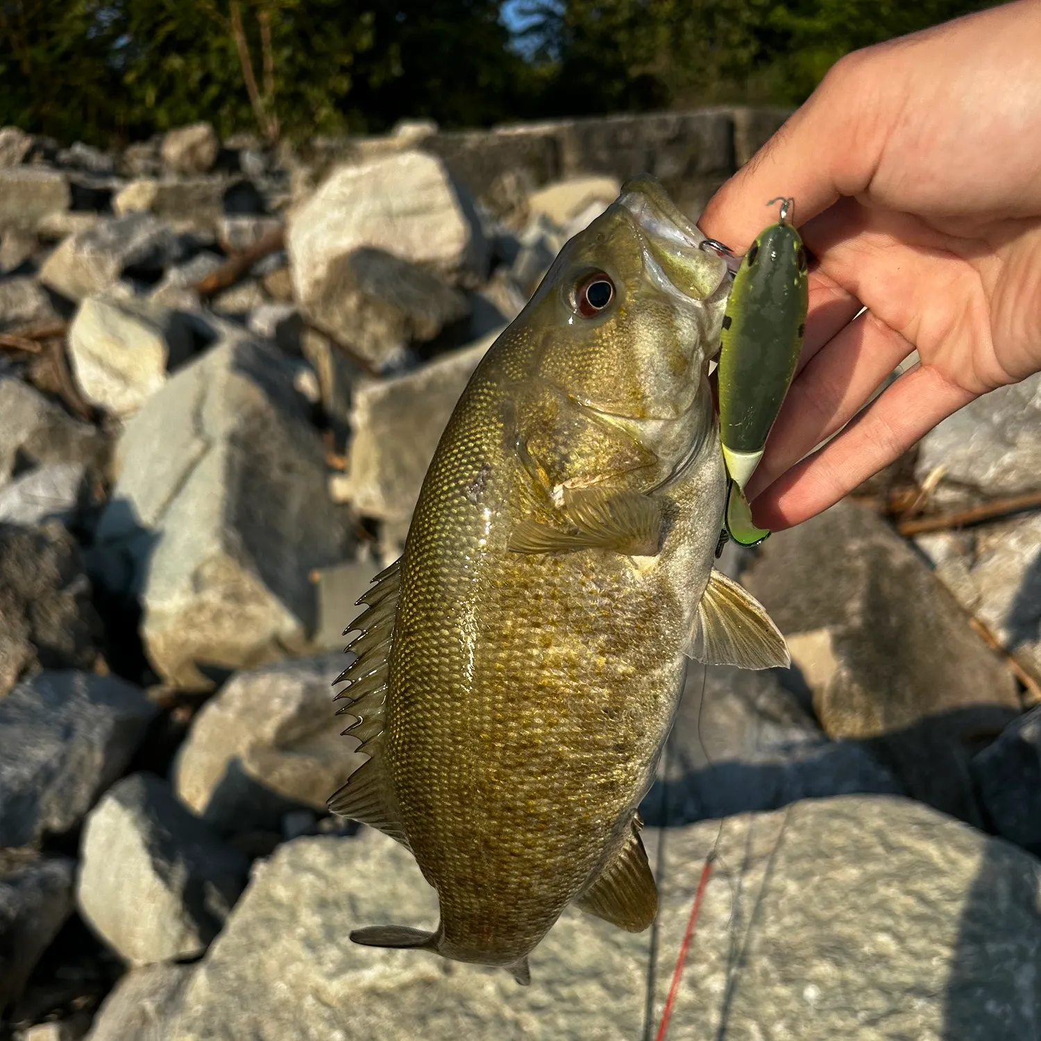 catch