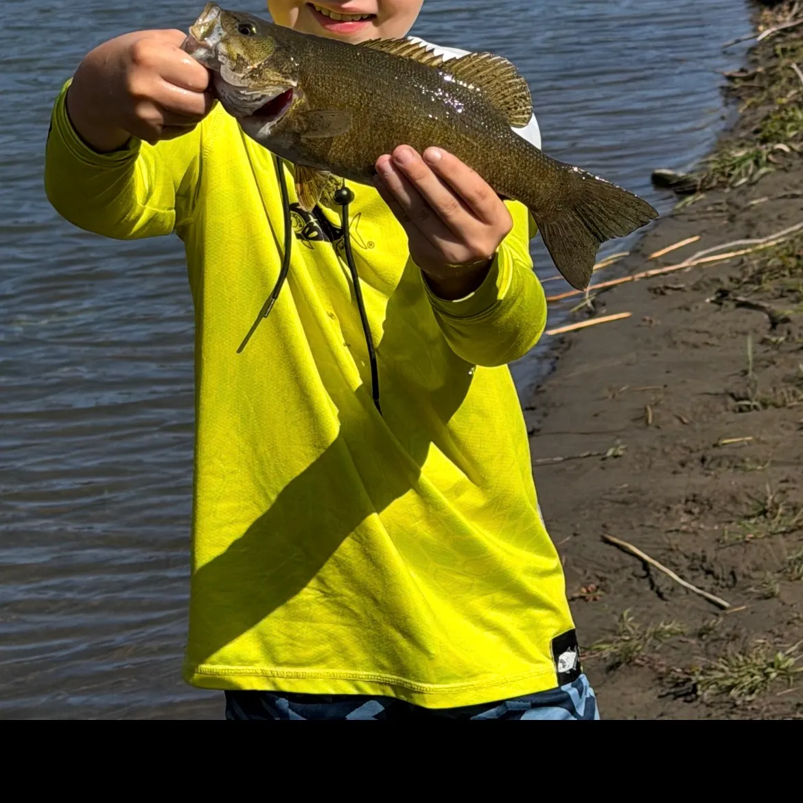 Smallmouth bass caught on Fishbrain