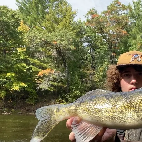 Walleye caught on Fishbrain