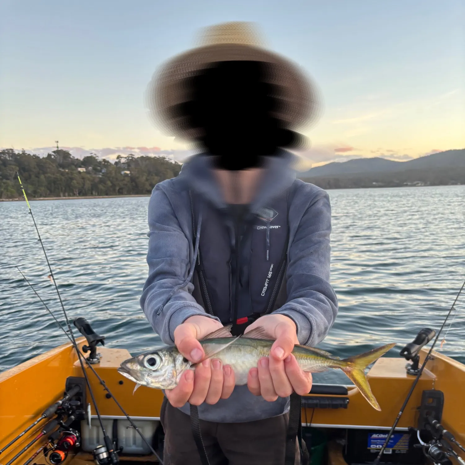 The most recent Greenback horse mackerel catches on Fishbrain