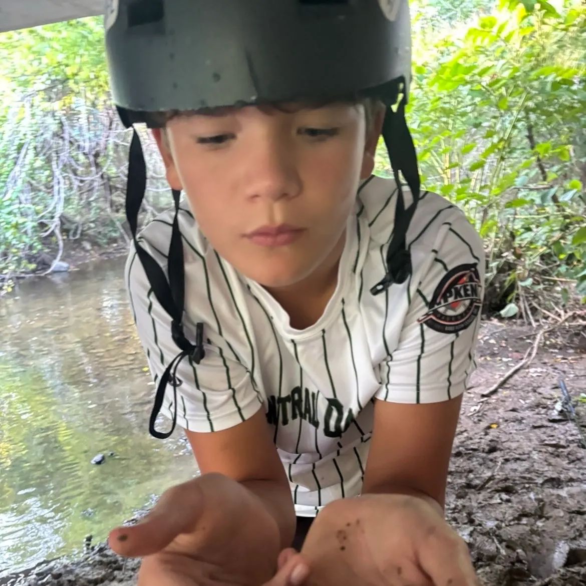 Creek chub caught on Fishbrain