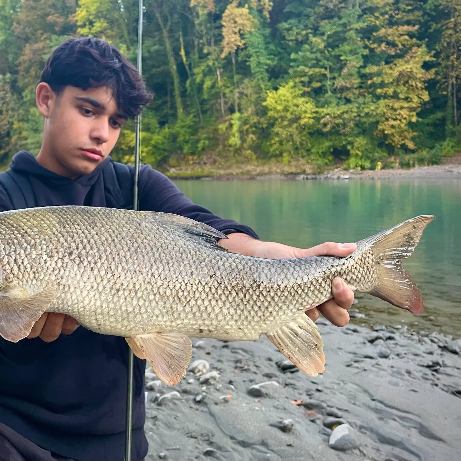 The most recent Common barbel catches on Fishbrain