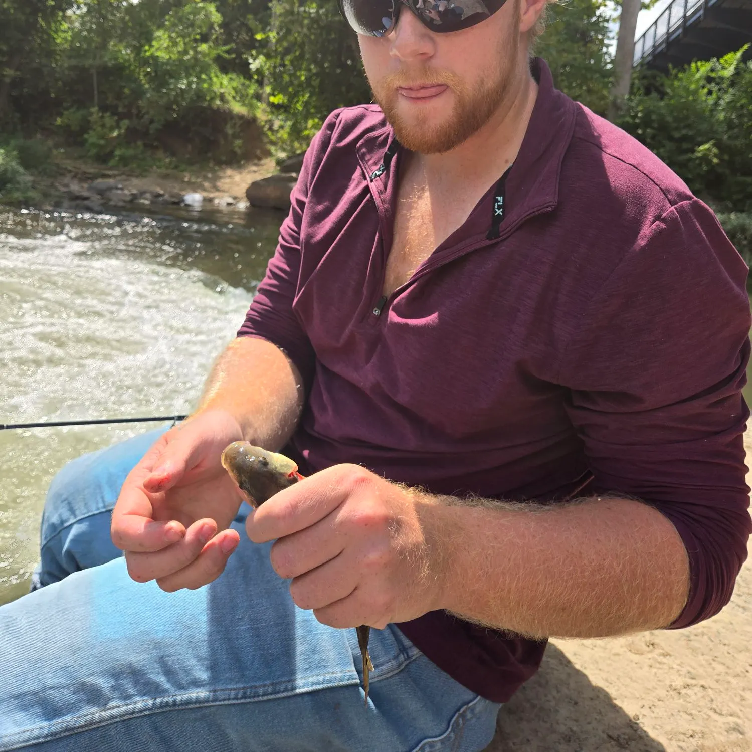 River chub caught on Fishbrain