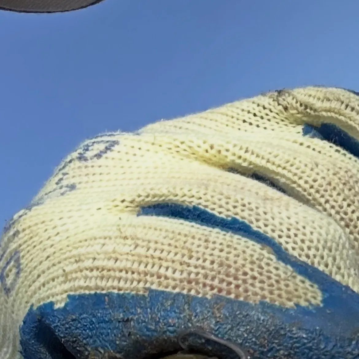 The most recent Black bullhead catches on Fishbrain