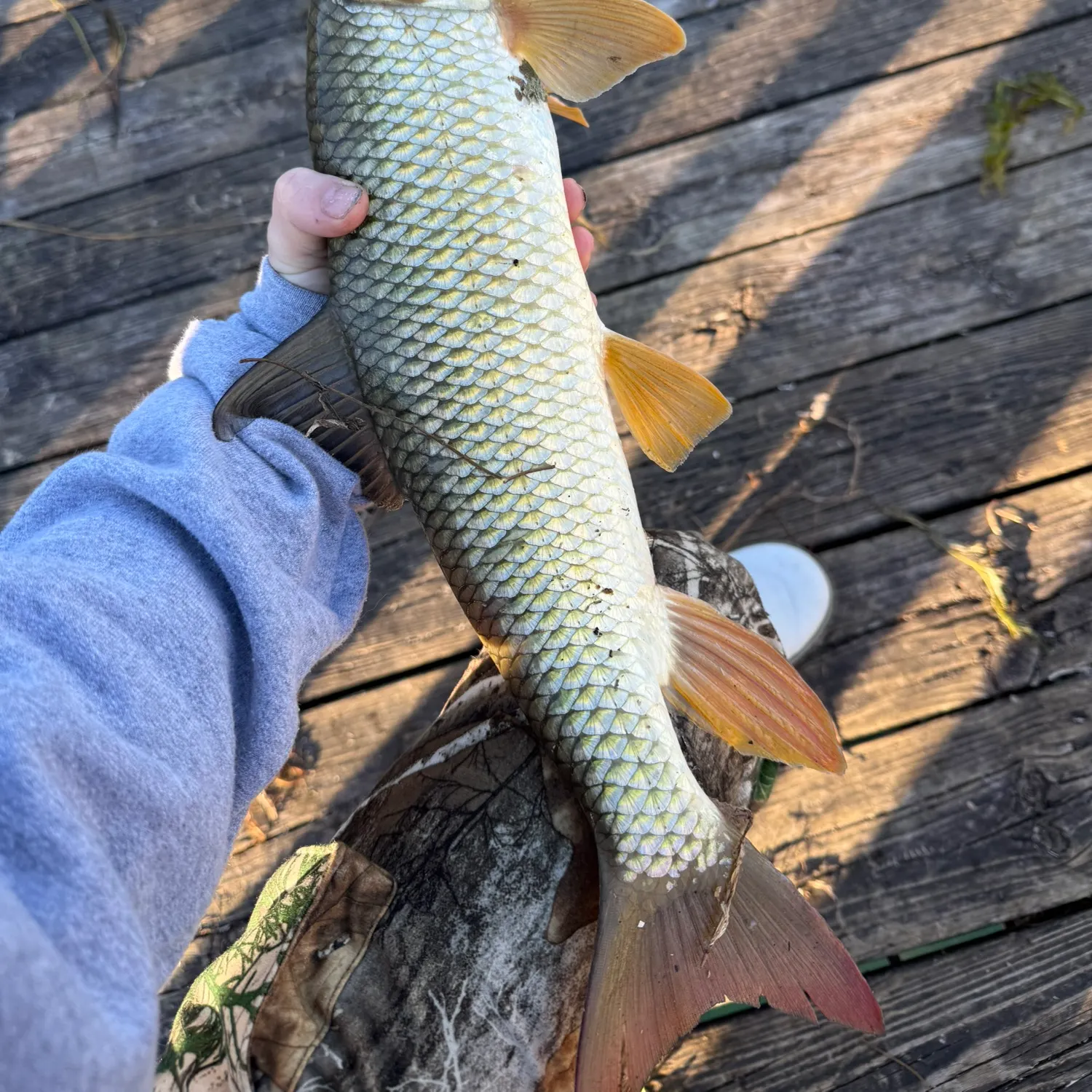 catch