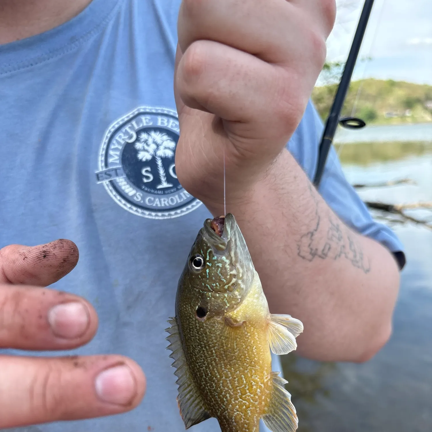 recently logged catches