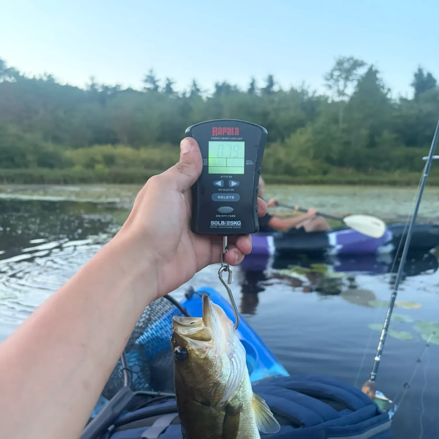 Largemouth bass caught on Fishbrain