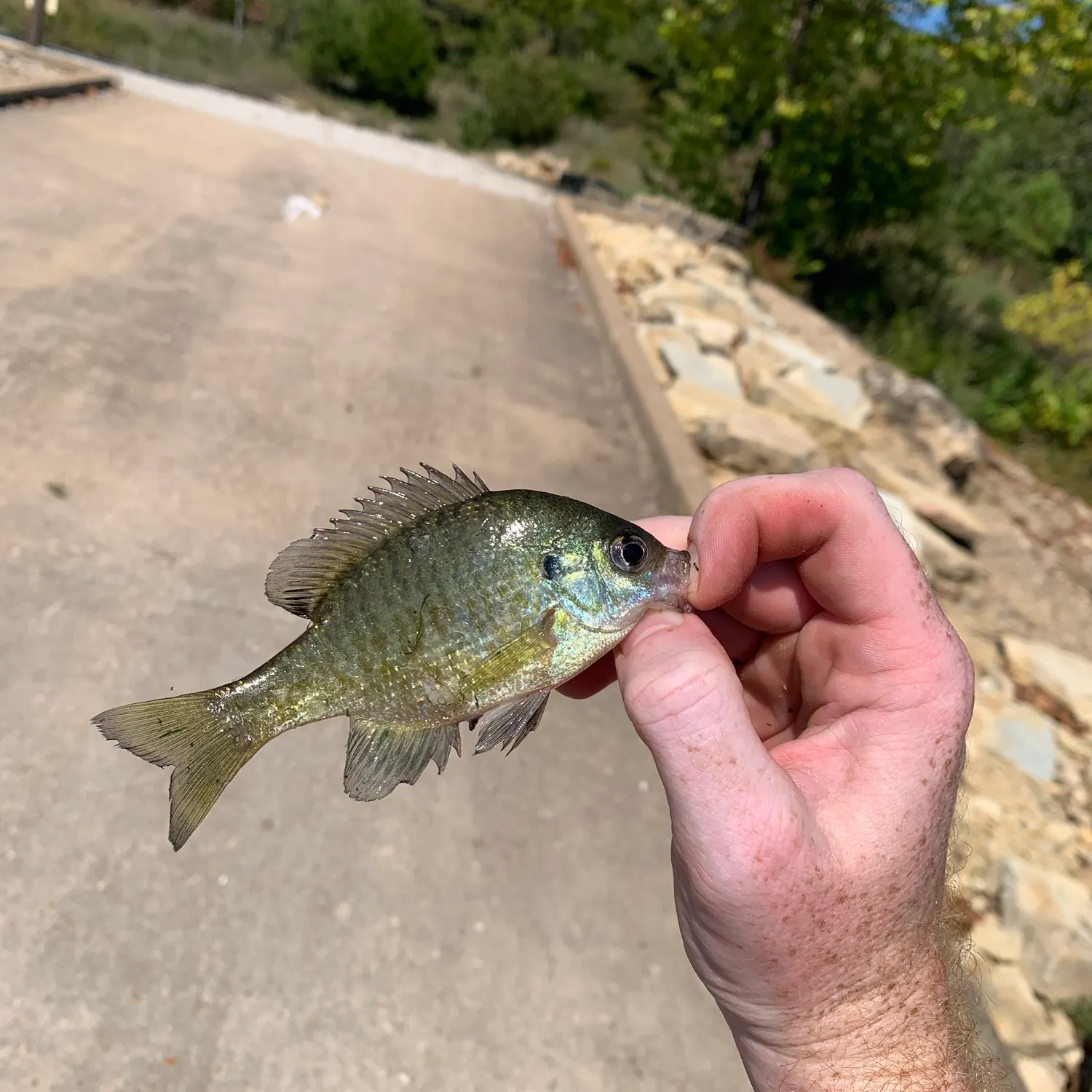catch