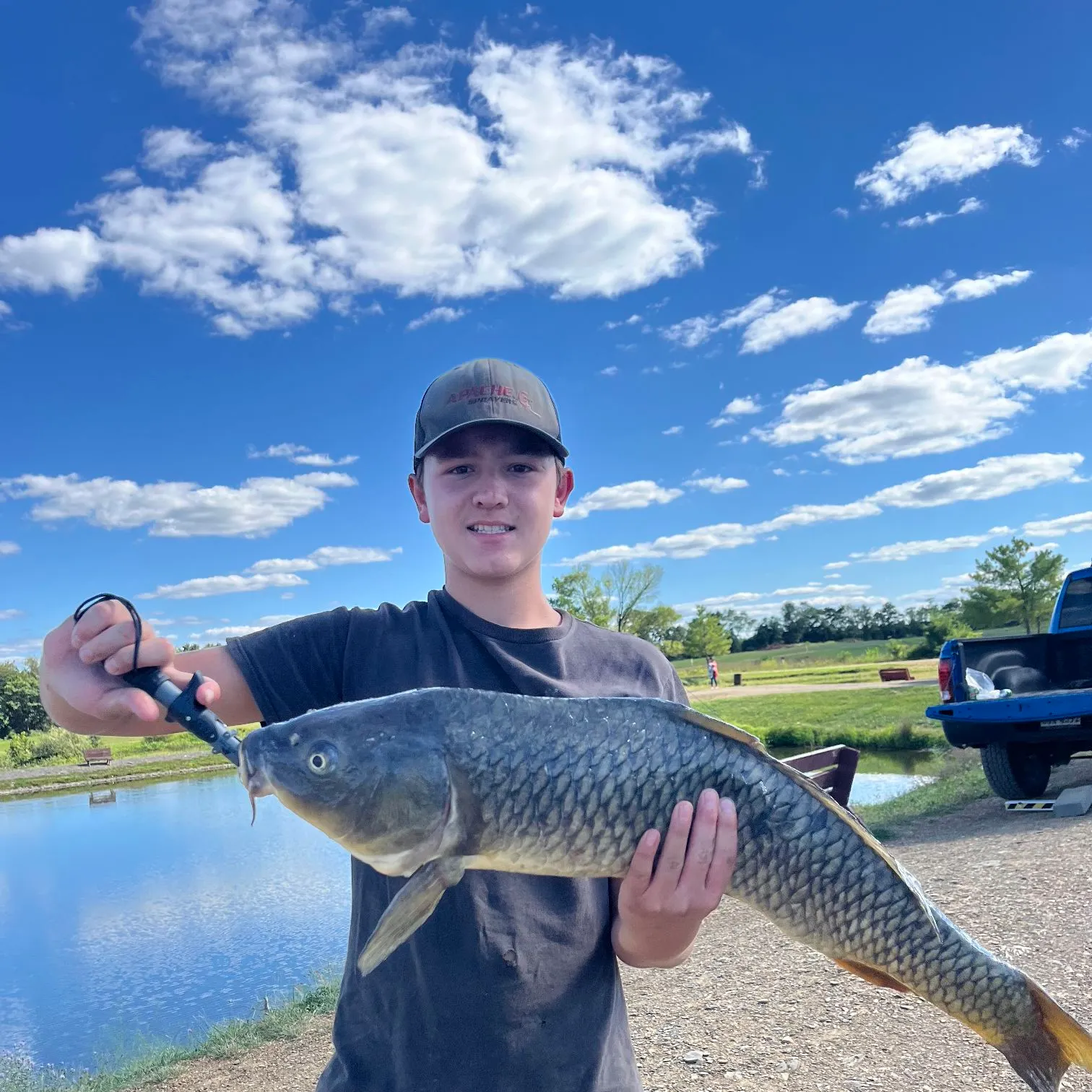 Common carp caught on Fishbrain