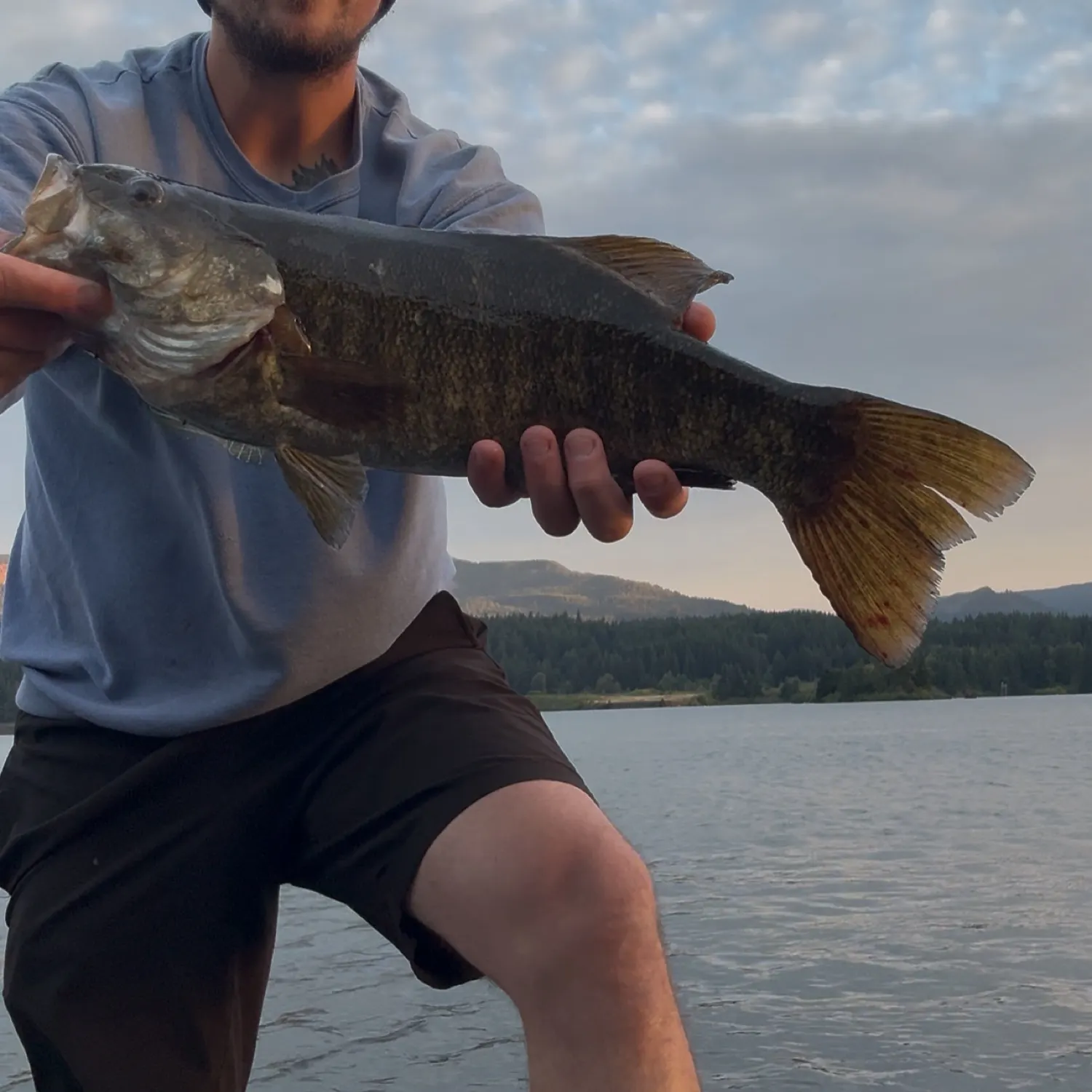 The most recent Smallmouth bass catches on Fishbrain