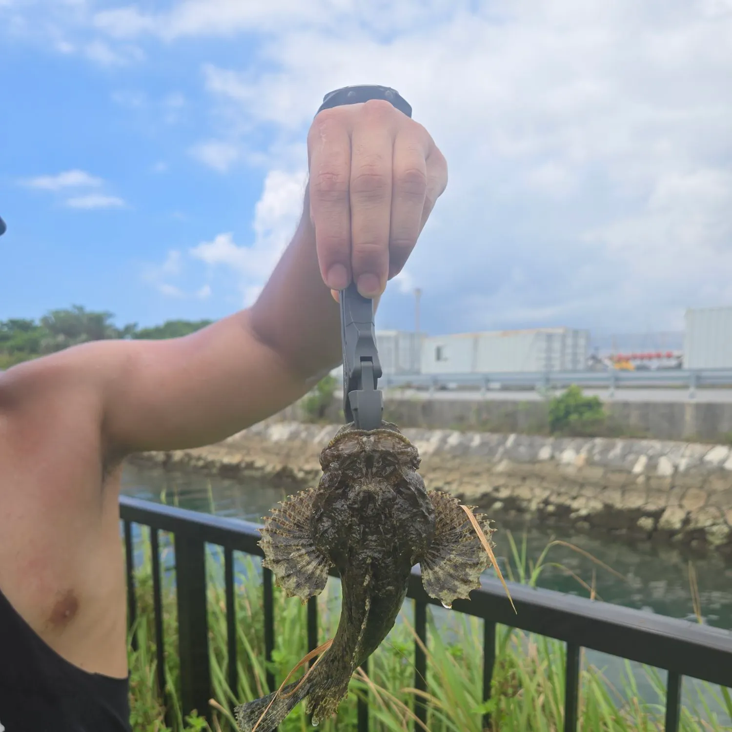 The most recent Great sculpin catches on Fishbrain