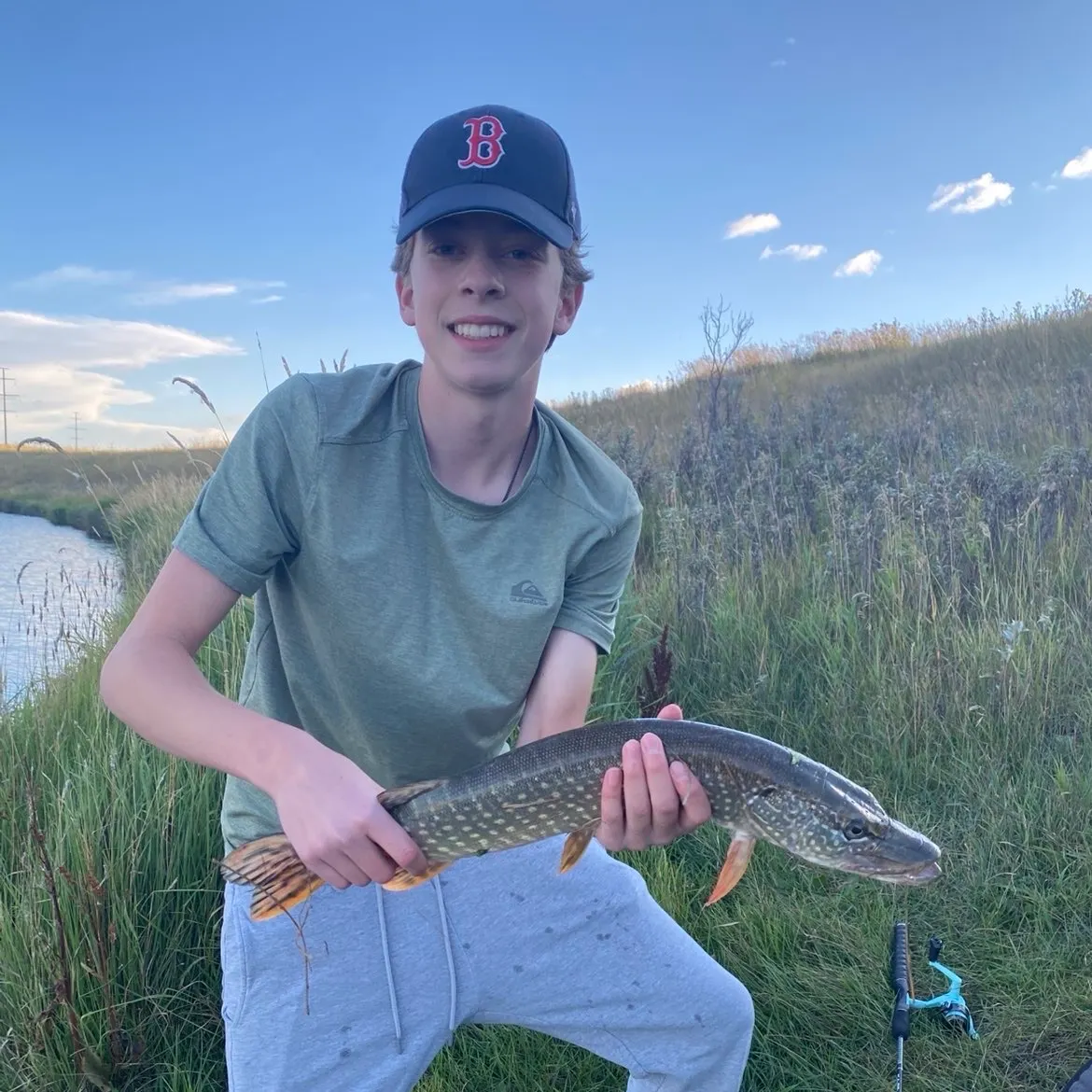 Northern pike caught on Fishbrain
