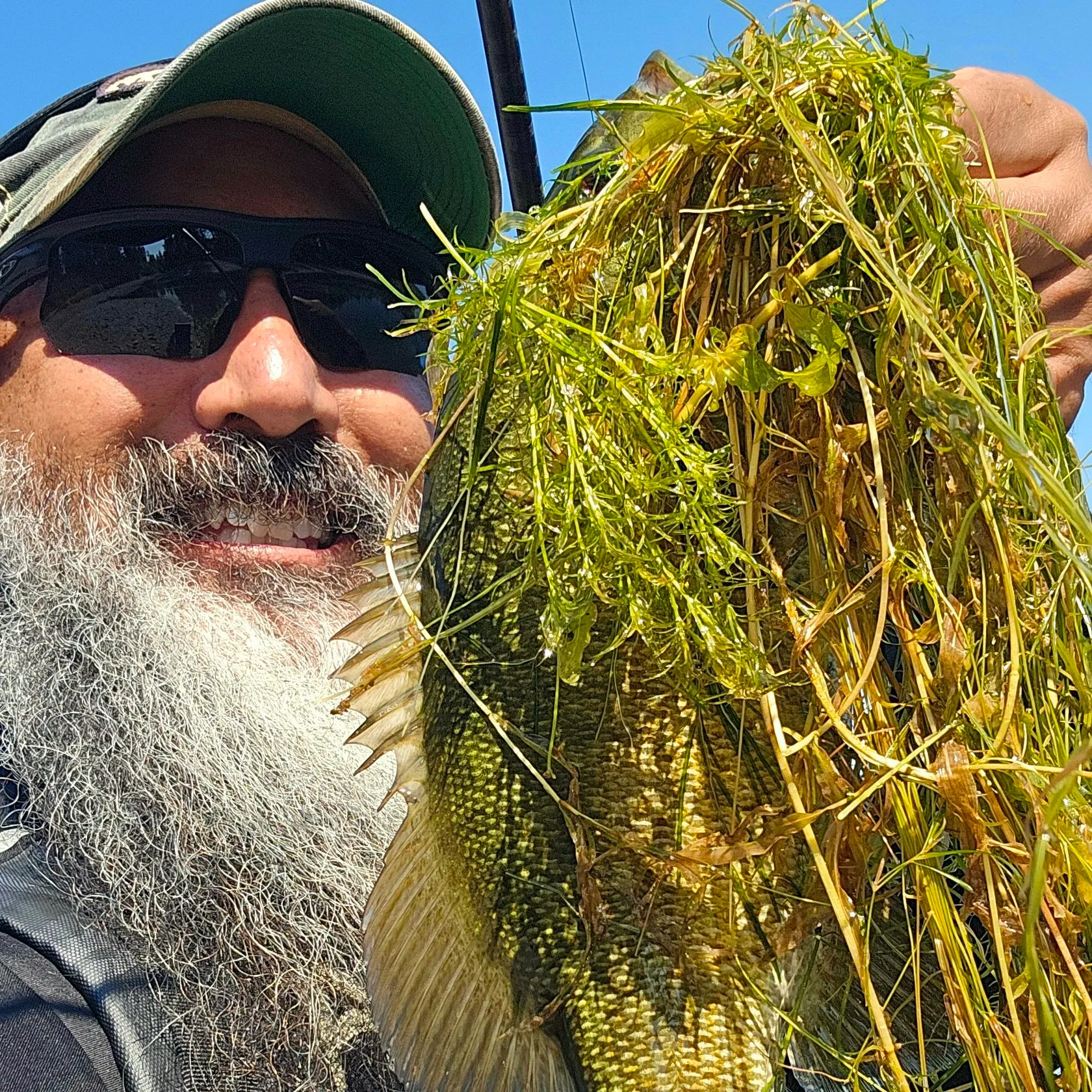 Smallmouth bass caught on Fishbrain