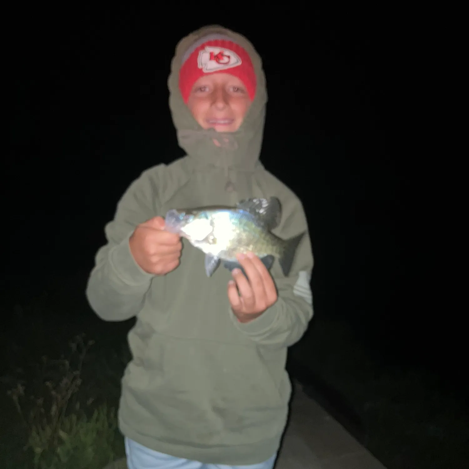 White crappie caught on Fishbrain