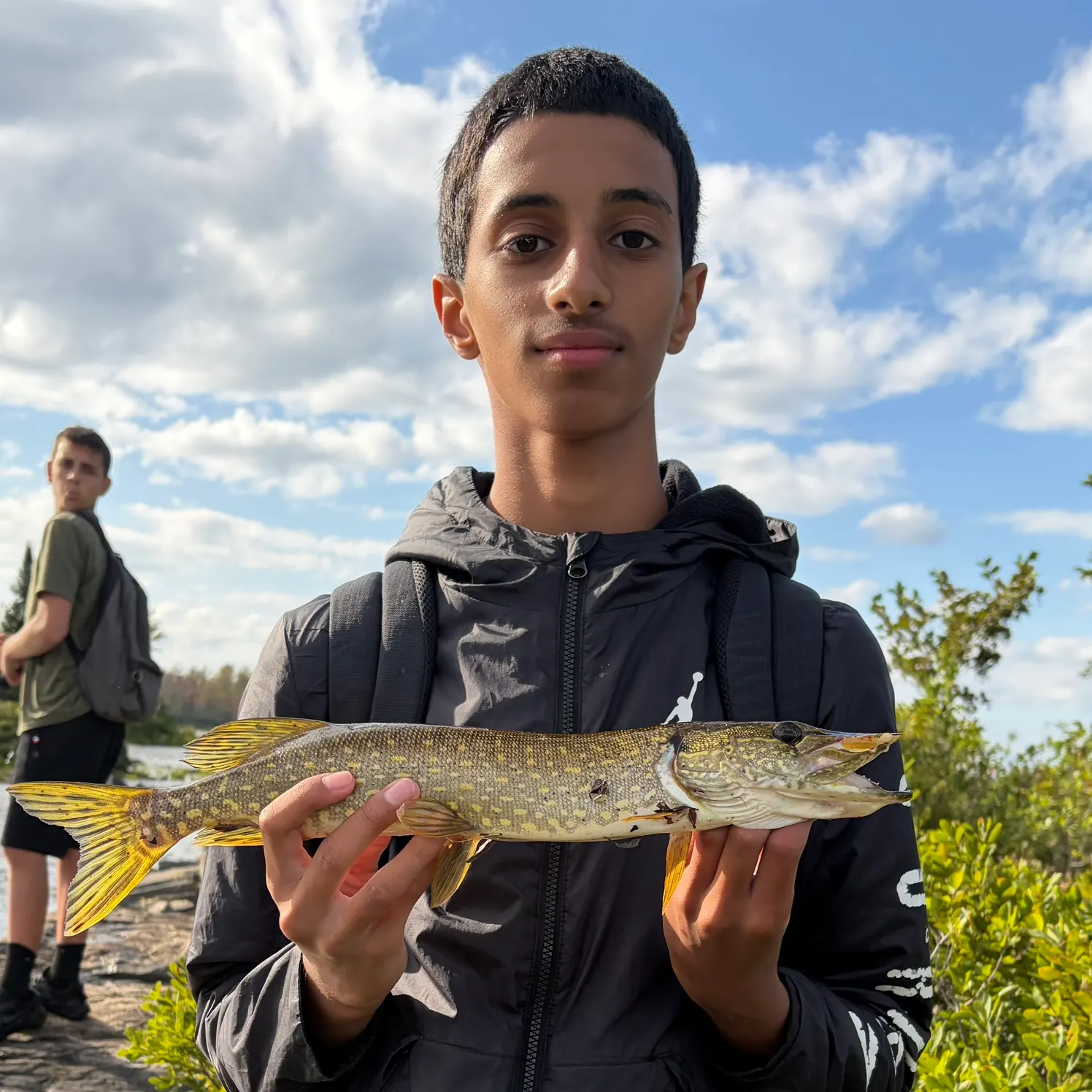 Northern pike caught on Fishbrain