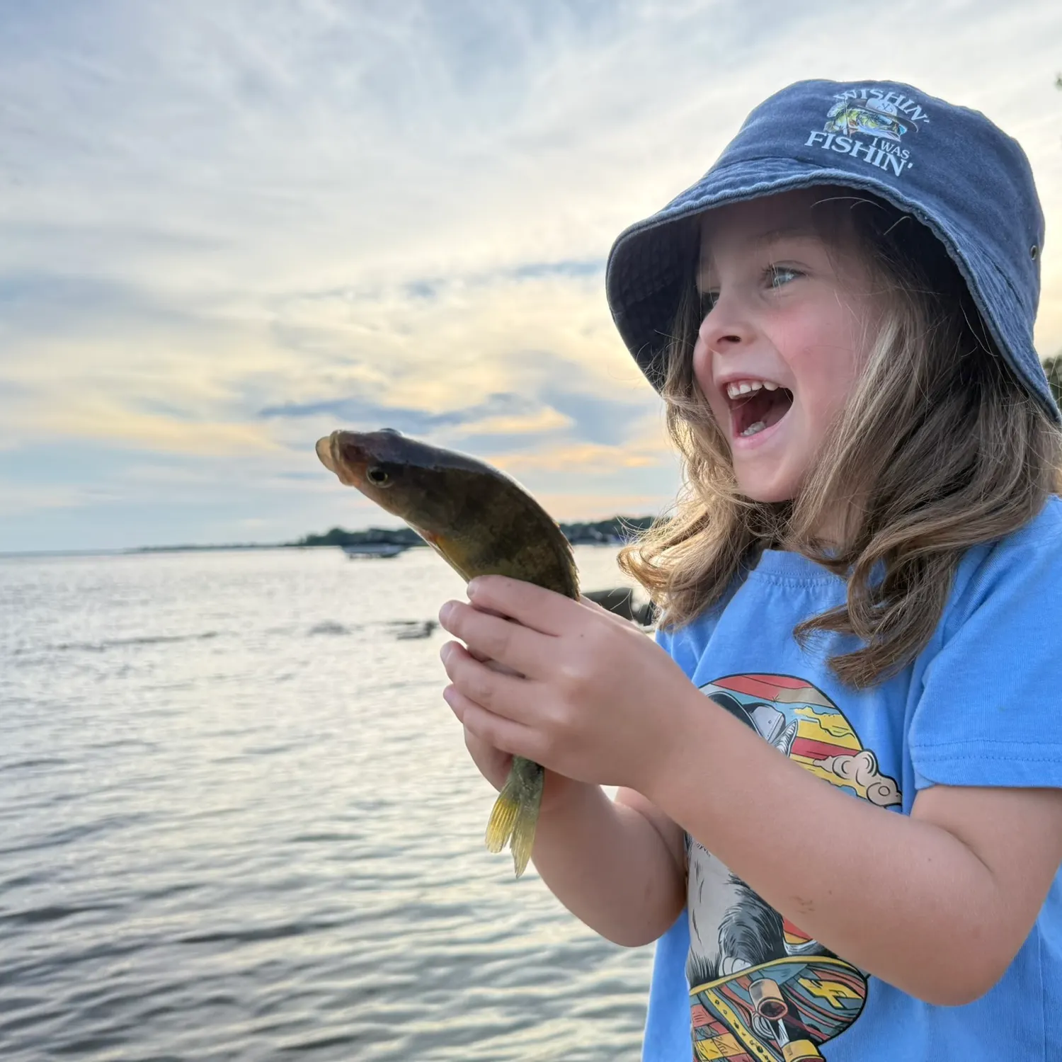 Yellow perch caught on Fishbrain