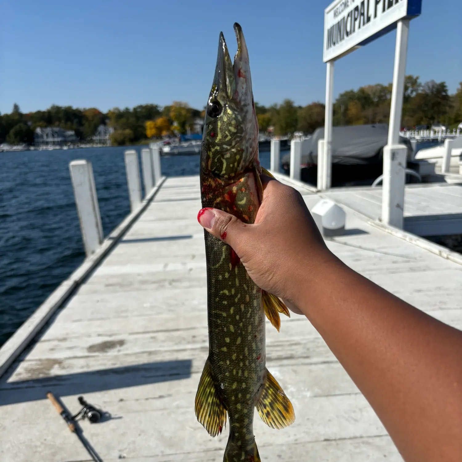 catch