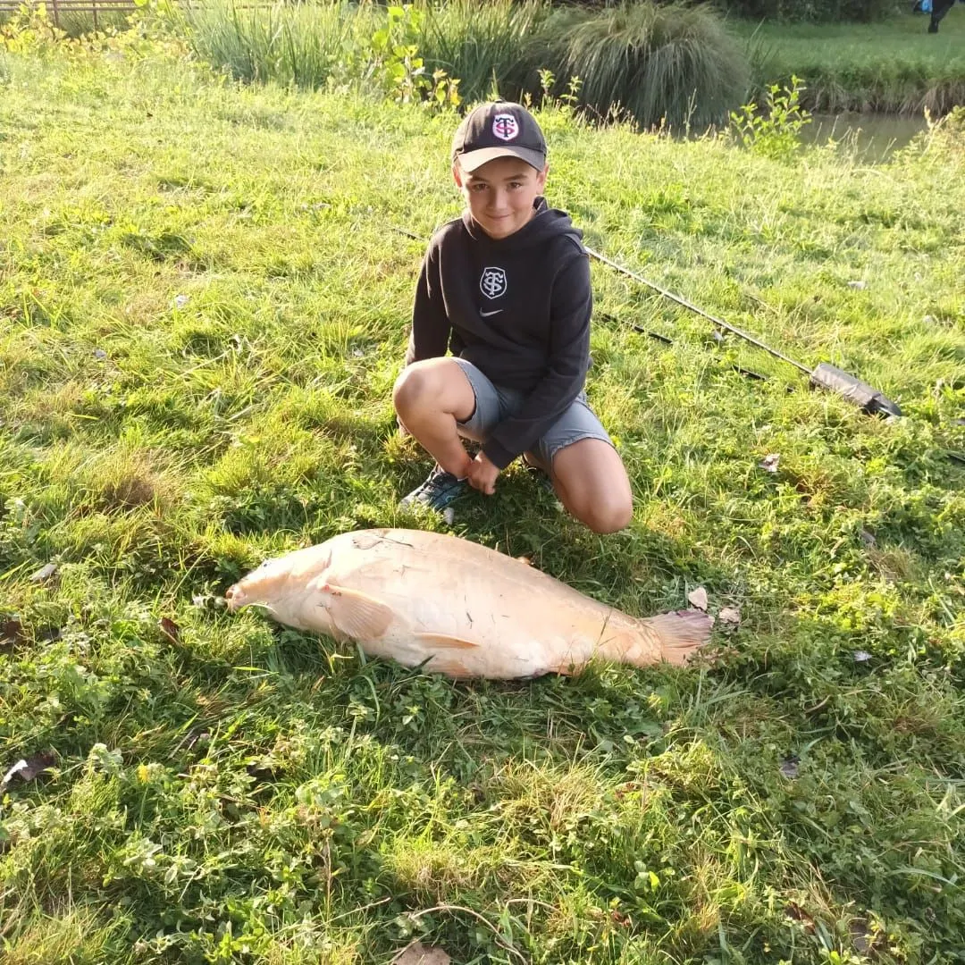 Common carp caught on Fishbrain
