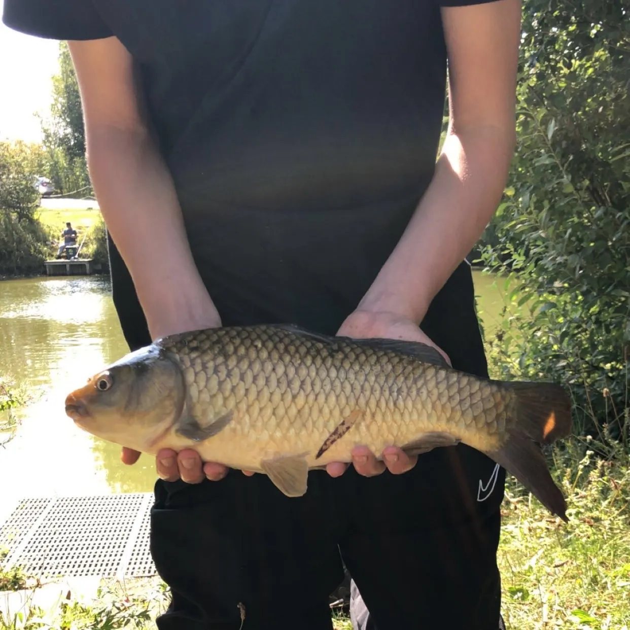 The most recent F1 carp catches on Fishbrain
