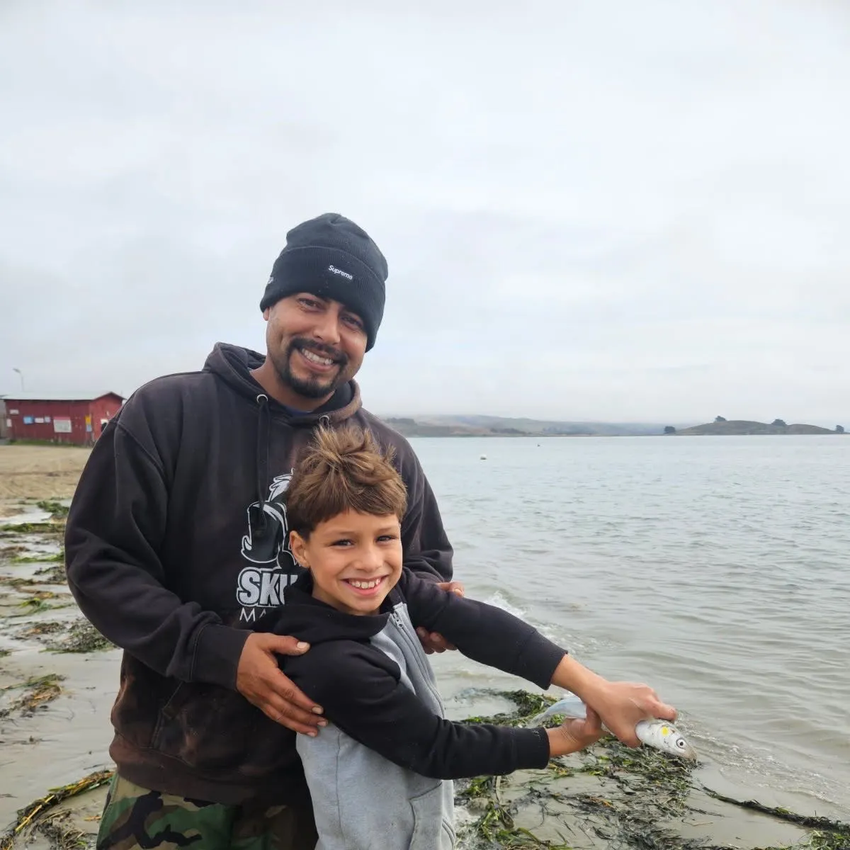 The most recent Pacific herring catches on Fishbrain