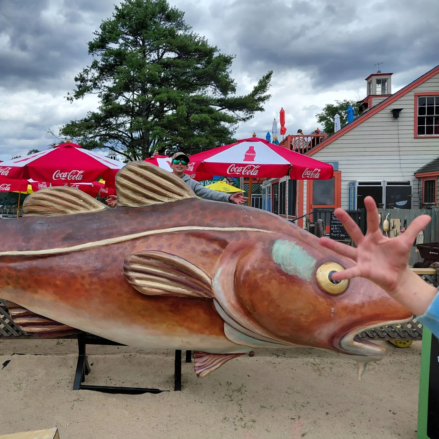 The most recent Atlantic cod catches on Fishbrain