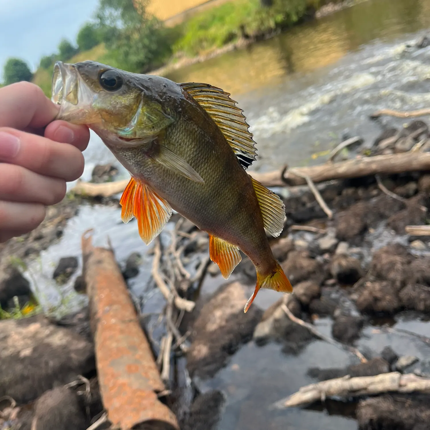 catch