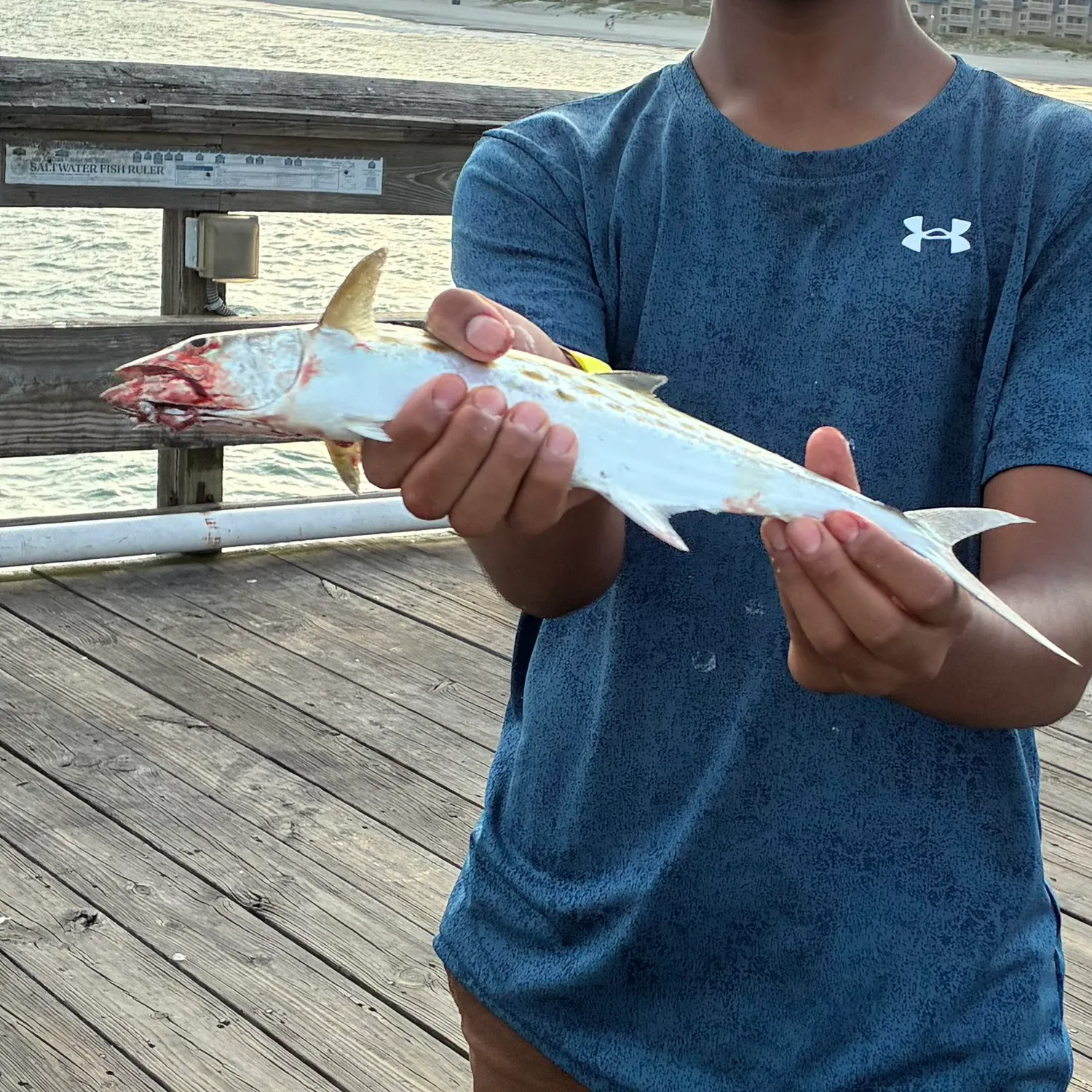 Spanish mackerel caught on Fishbrain