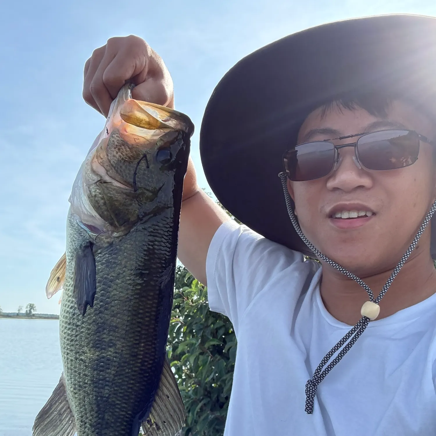 Largemouth bass caught on Fishbrain